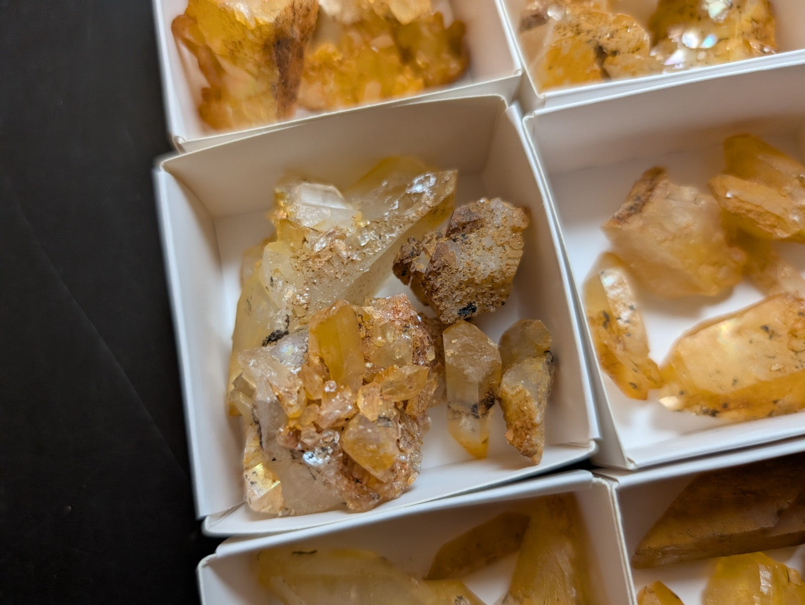 Golden-yellow citrine crystals with translucent facets and earthy mineral inclusions, displayed in white square containers.