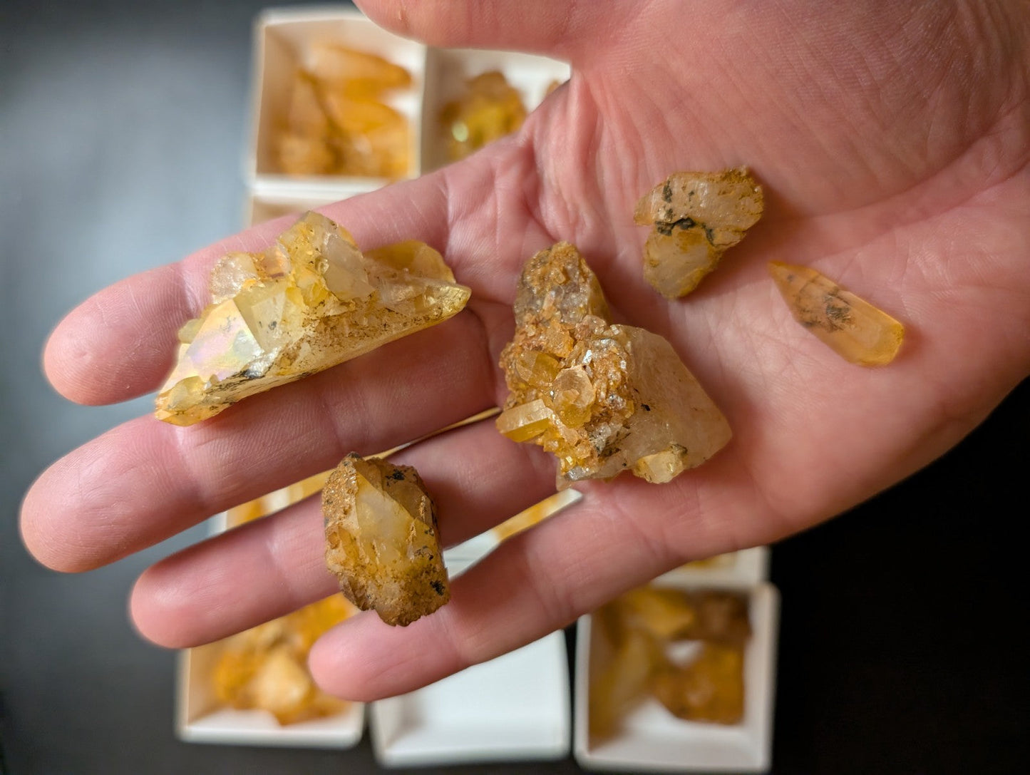 A hand holds several pieces of golden-yellow citrine crystals with natural, rough edges and some translucent sections.