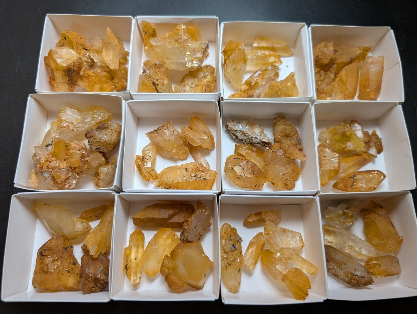 Yellowish translucent crystal specimens arranged in white square boxes.
