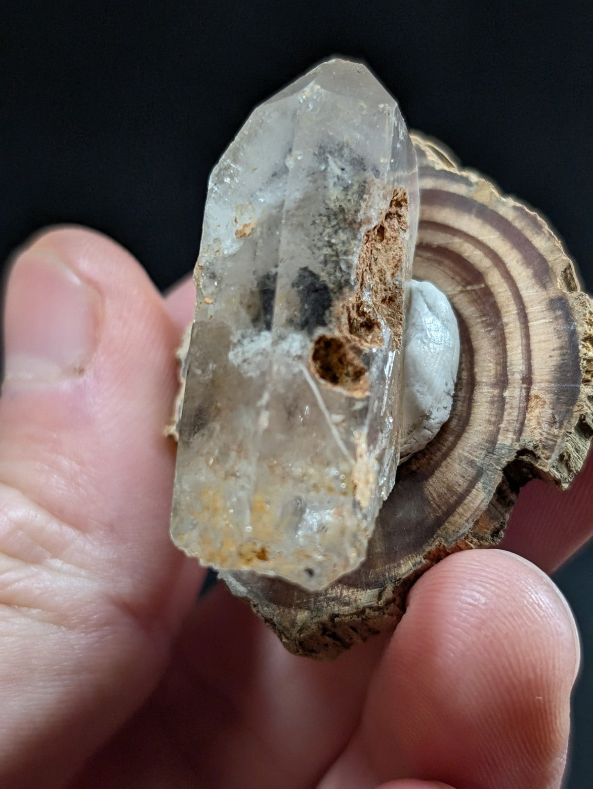 A translucent quartz crystal with natural inclusions and earthy brown markings, mounted on a rustic wooden slice.