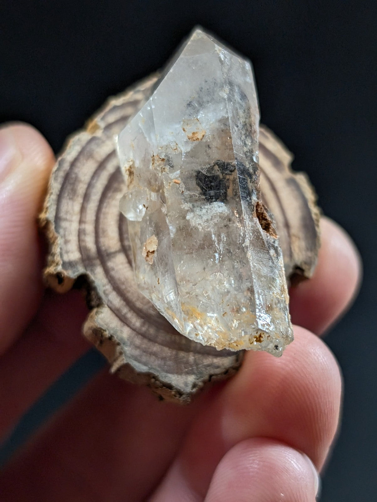 A translucent quartz crystal with natural inclusions and a pointed tip, resting on a circular wooden base.