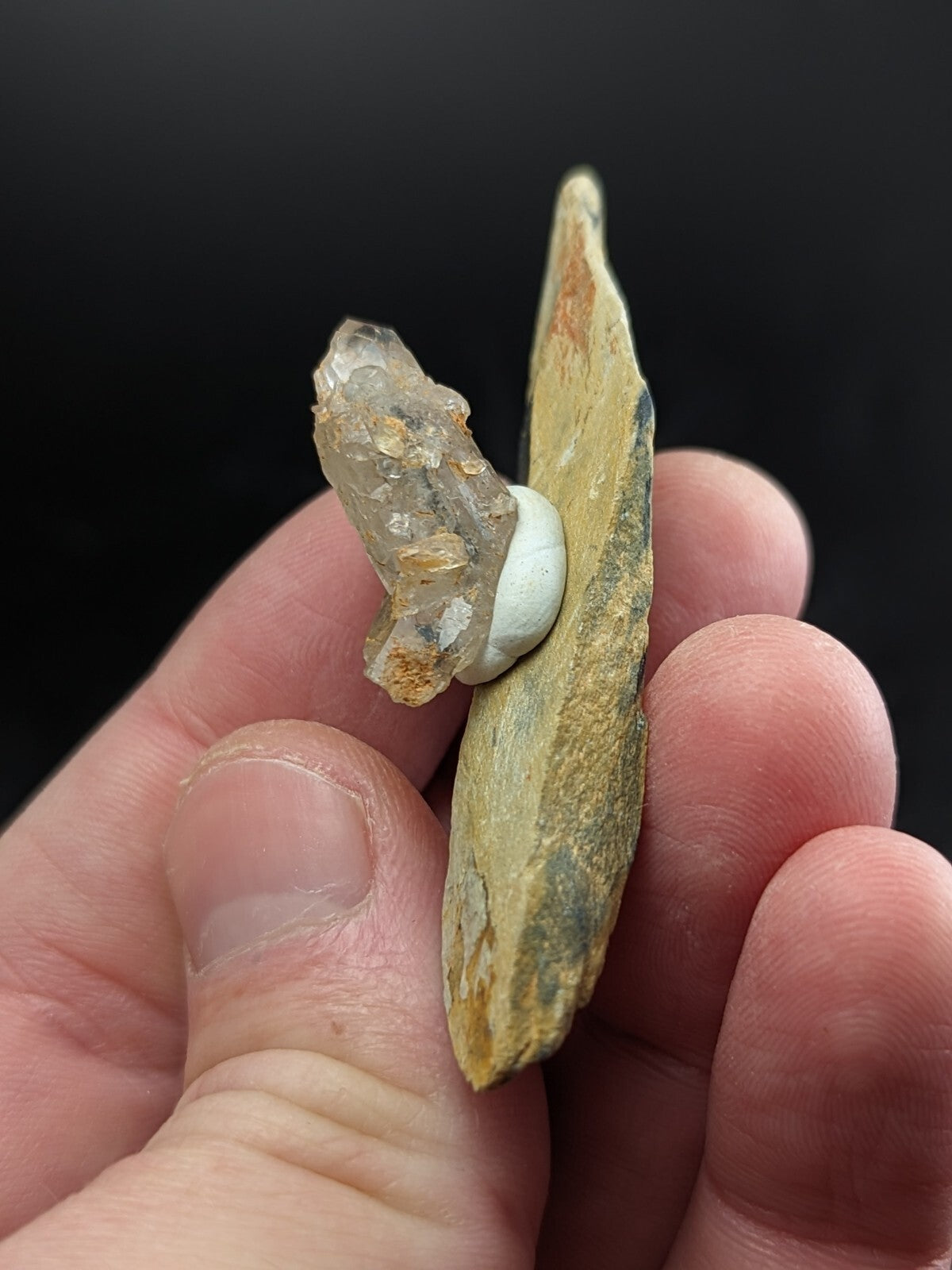 A translucent, faceted crystal nestled within a smooth white shell atop a weathered yellowish-green stone.