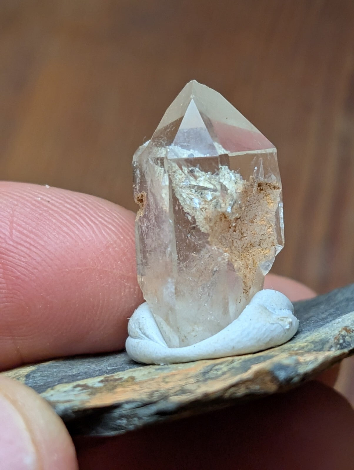 A clear quartz crystal with a pointed tip and internal golden inclusions, held upright by a white clay base.