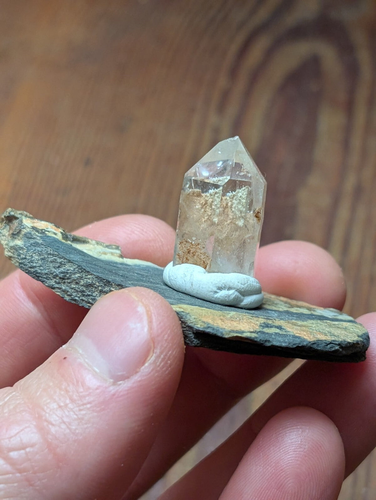 A clear quartz crystal with internal golden inclusions, mounted on a light blue clay base and set upon a dark greenish-black slate.