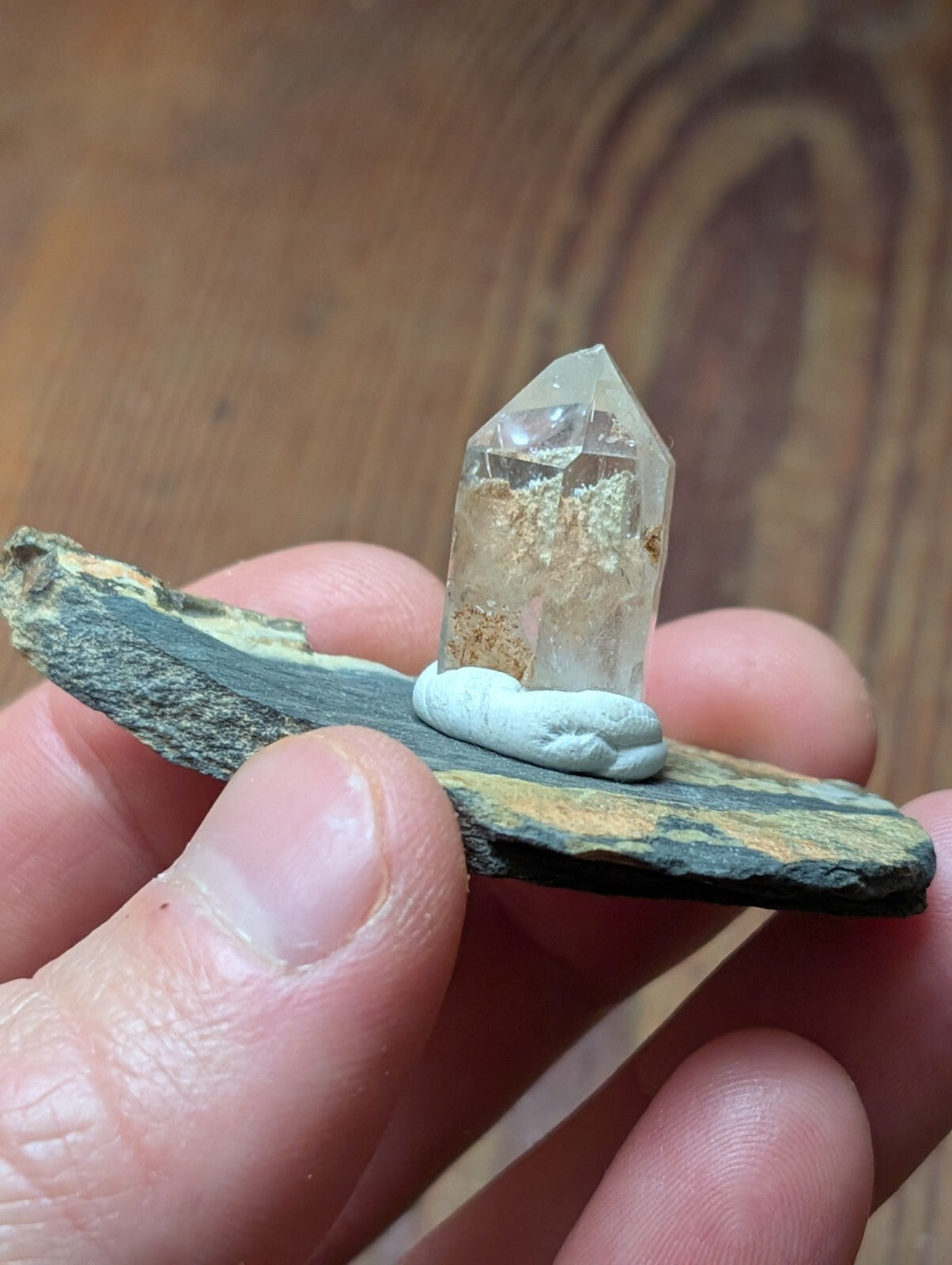 A clear quartz crystal with internal golden inclusions, mounted on a light blue clay base and set upon a dark greenish-black slate.