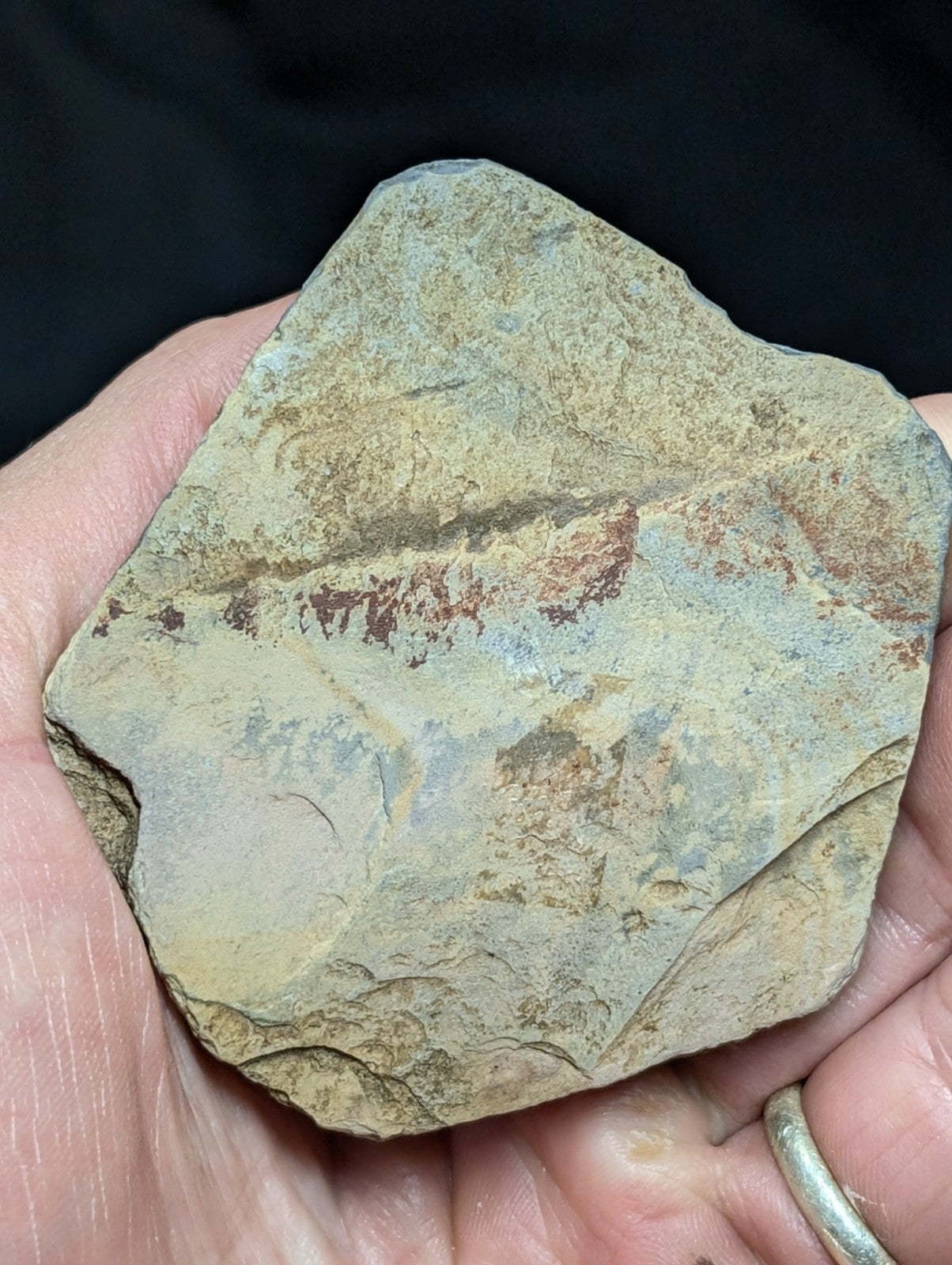 Nacrite + Manganese Included Quartz Montgomery Co. Arkansas w/ Shale Display - Collectibles:Rocks Fossils &