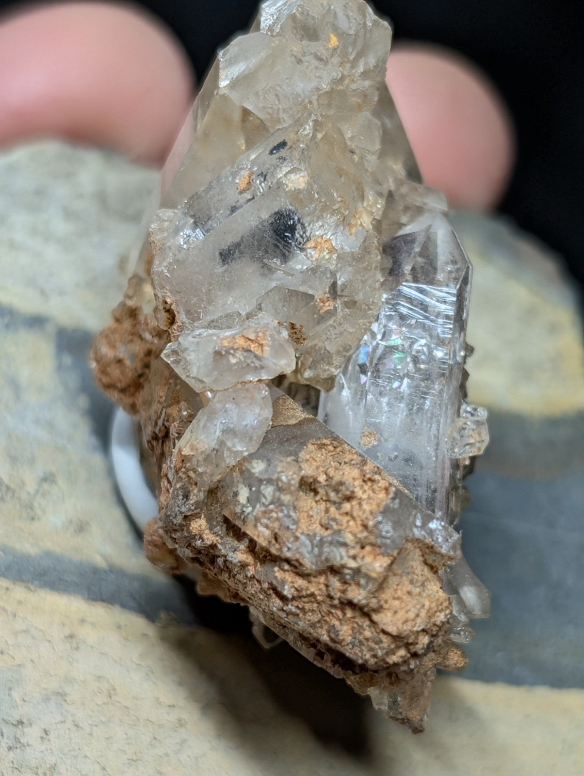 A translucent quartz crystal cluster with clear, faceted points and earthy brown matrix.