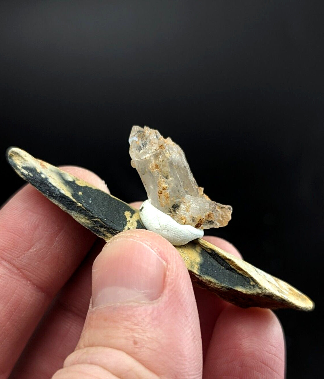 A clear quartz crystal cluster nestled atop a white, rounded base and held between two dark greenish-black, yellow-striped shell halves.
