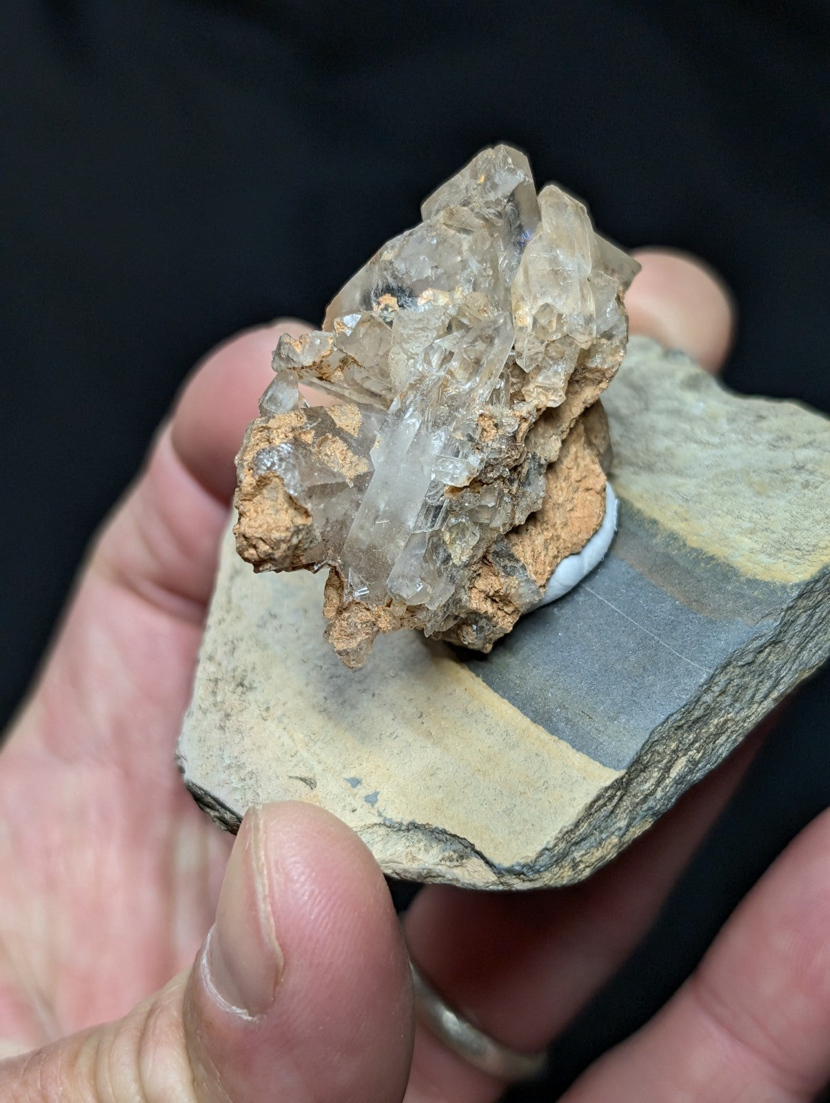 Nacrite + Manganese Included Quartz Montgomery Co. Arkansas w/ Shale Display - Collectibles:Rocks Fossils &