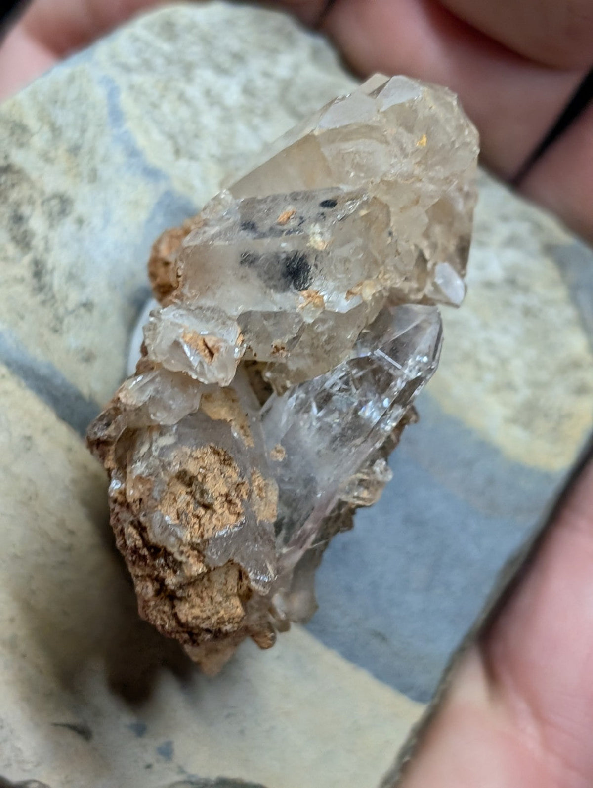 A cluster of translucent quartz crystals with clear, faceted points and earthy brown matrix material.