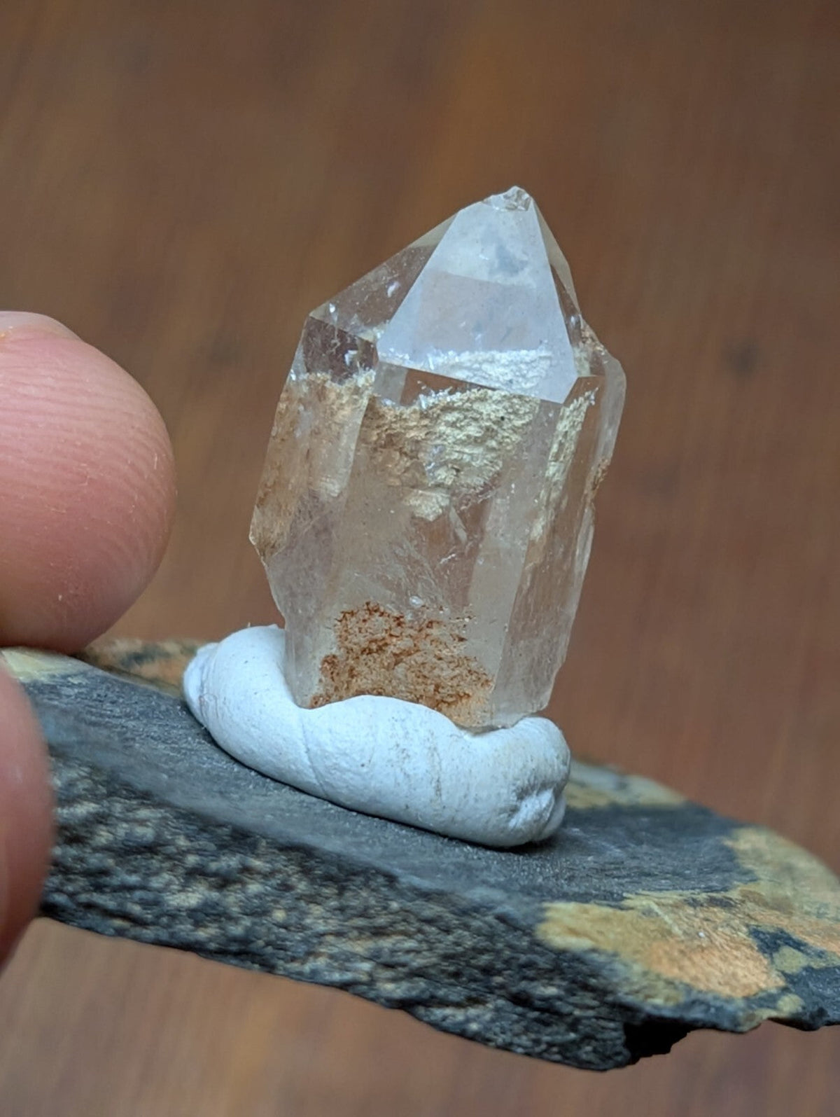 A clear quartz crystal with a pointed top and internal golden inclusions, displayed on a white clay base.