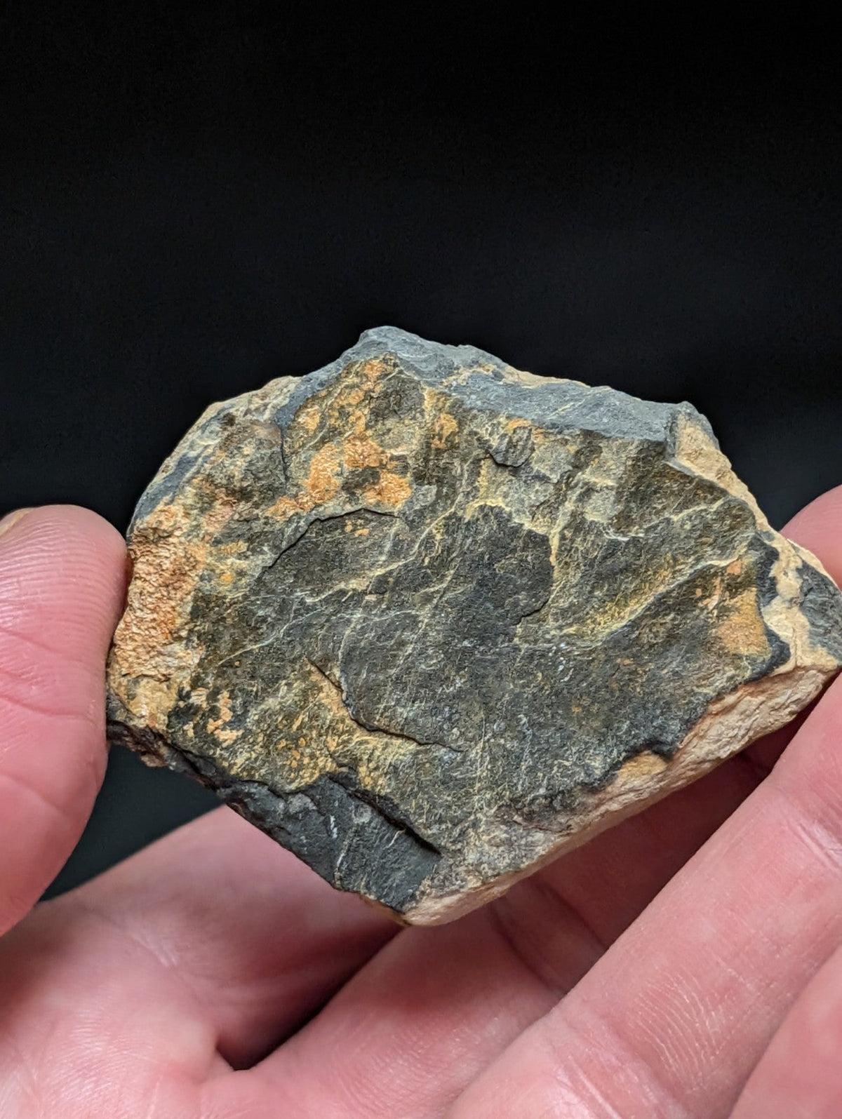 A rugged, irregularly shaped rock with a mottled surface of dark gray and orange-brown patches.