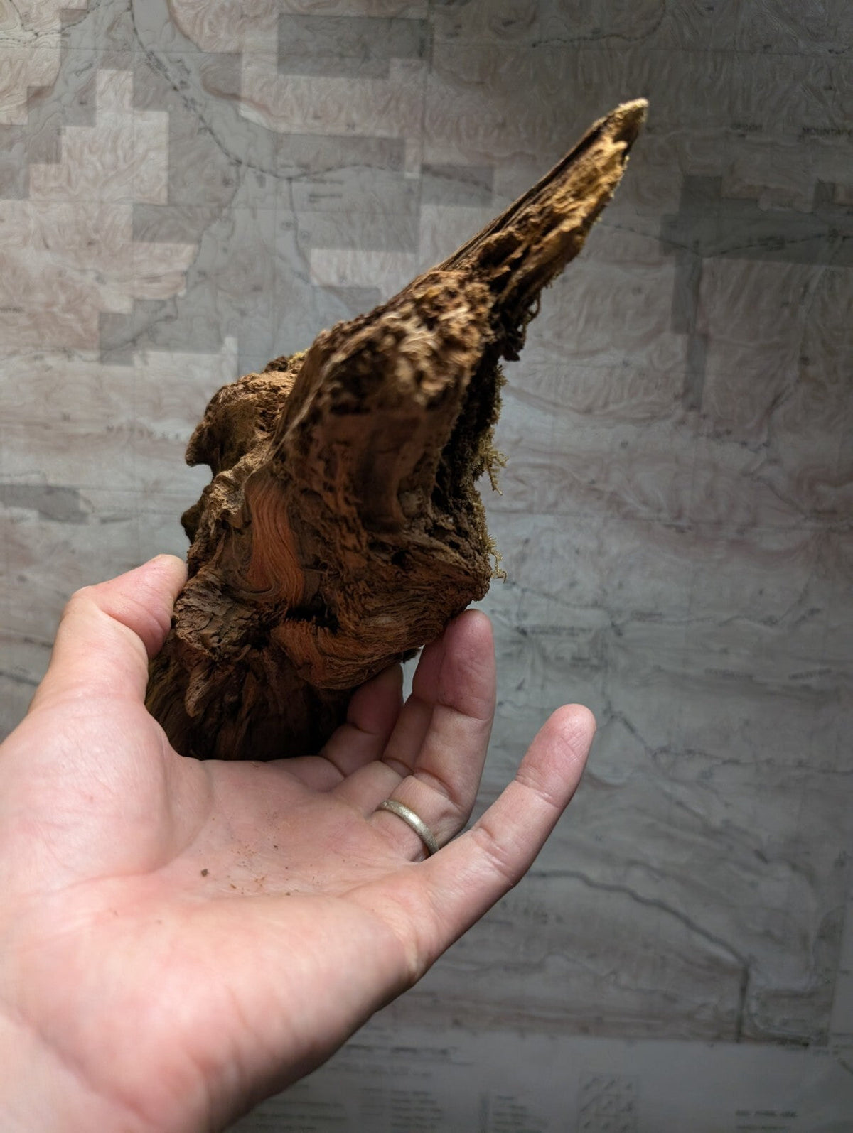 A weathered, brown wooden sculpture with a rough, natural texture and mossy patches.