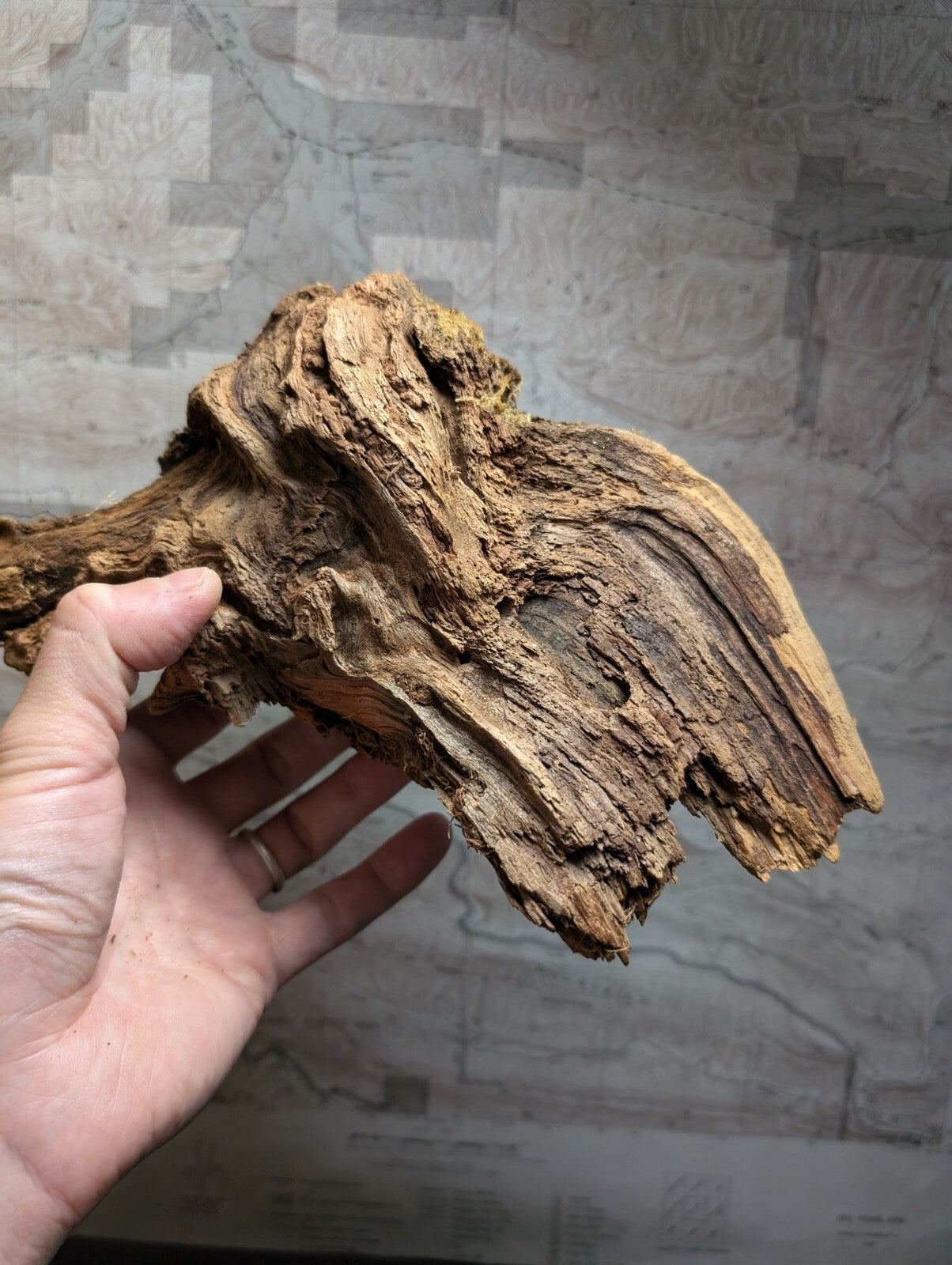 A rugged, light brown driftwood piece with intricate natural textures and weathered edges.