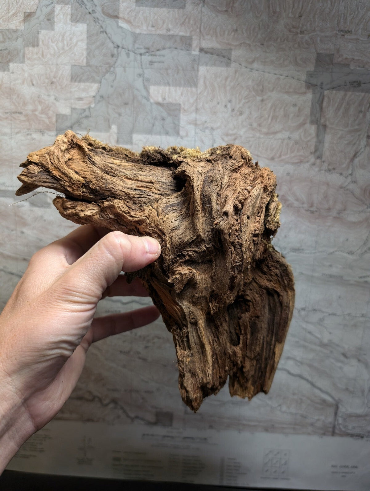 A hand holds a piece of dark brown, intricately textured driftwood with natural bark and gnarled contours.