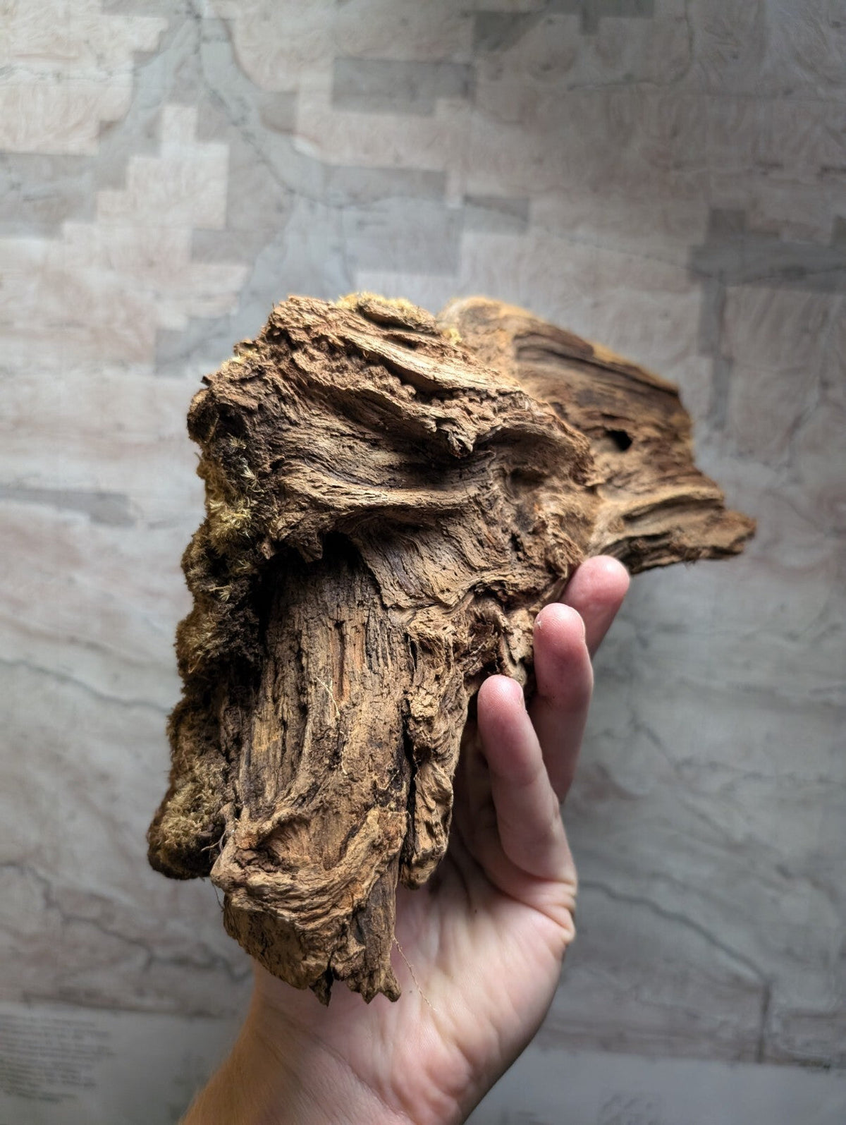 A hand holds a piece of rugged, brown driftwood with intricate natural textures and layered grain patterns.