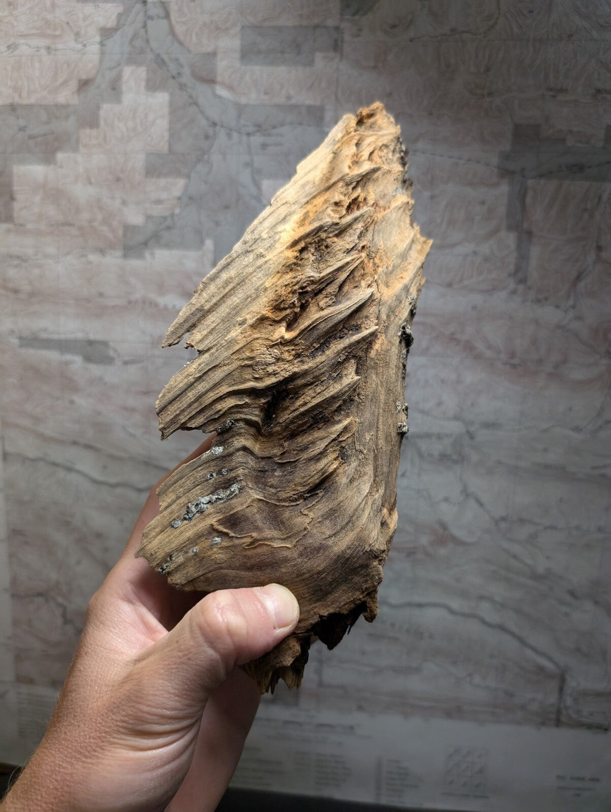 A weathered, irregularly shaped piece of driftwood with a rough, textured surface and natural brown tones.