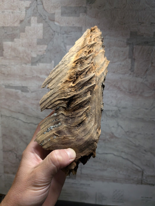 A weathered, irregularly shaped piece of driftwood with a rough, textured surface and natural brown tones.