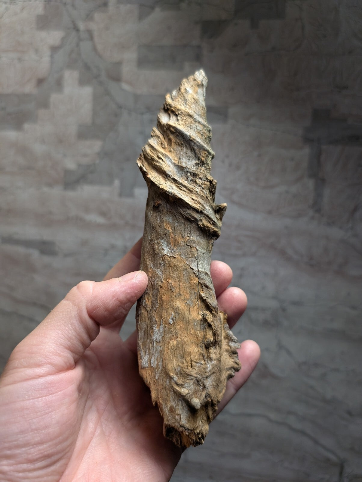 A weathered, twisted piece of driftwood with a rough, textured surface and natural brown tones.