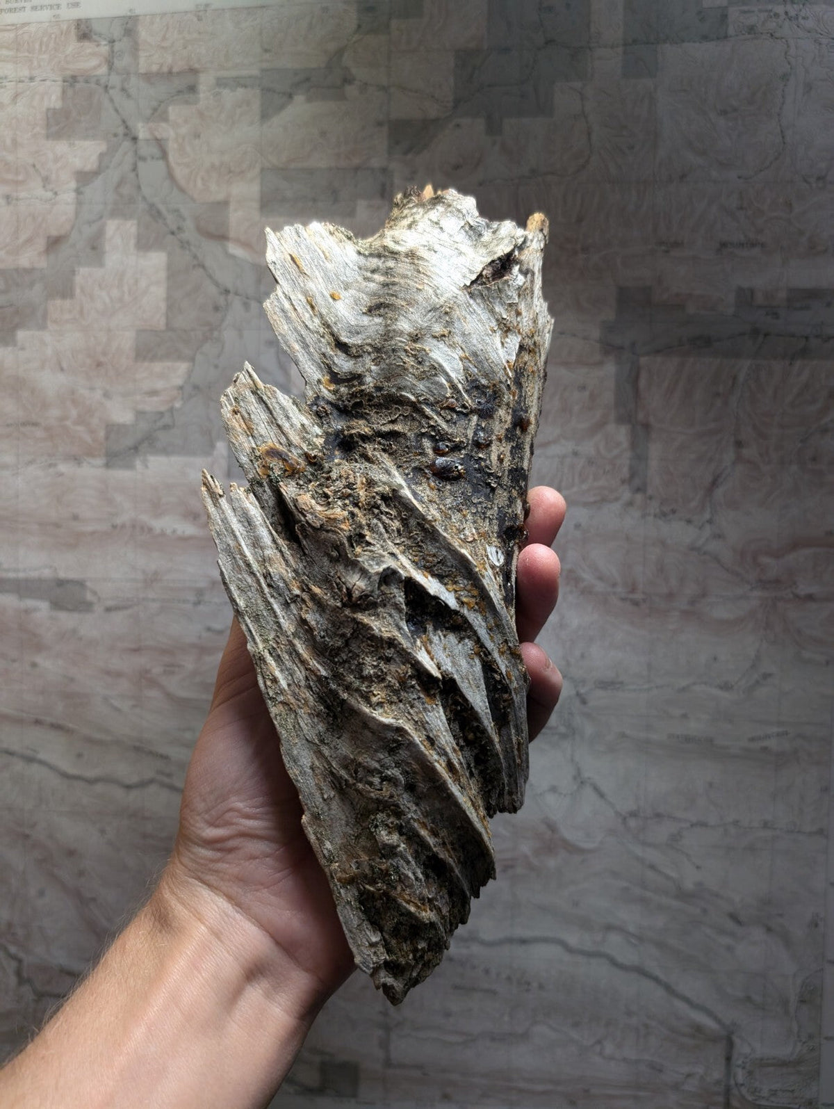 A weathered, grayish-brown piece of driftwood with a twisted, gnarled texture and natural cracks.