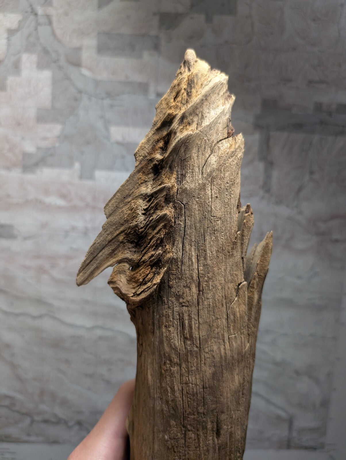 A rugged, naturally weathered piece of driftwood with a textured surface and earthy brown tones.