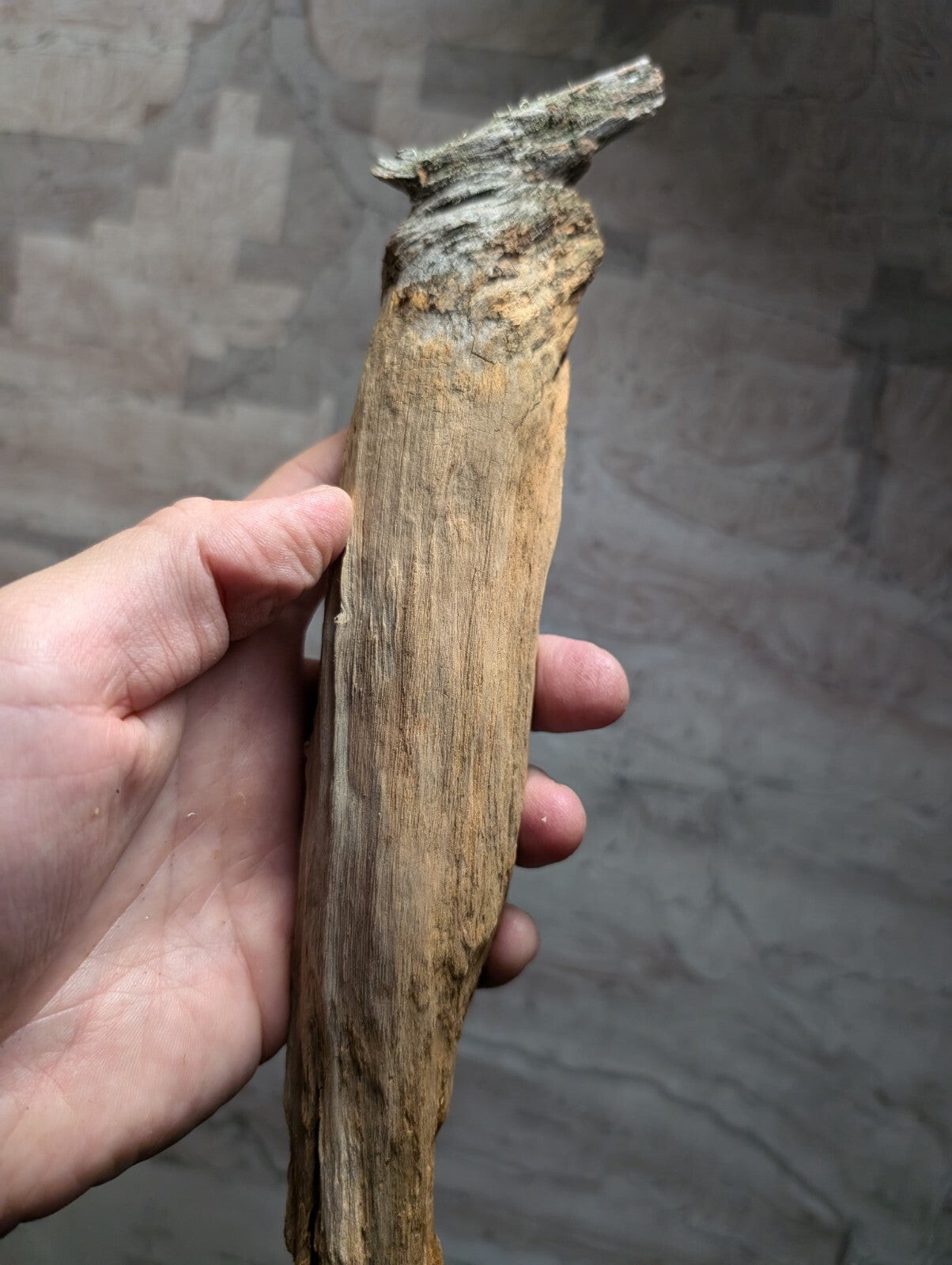 A weathered, light brown wooden stick with a rough texture and natural grain.