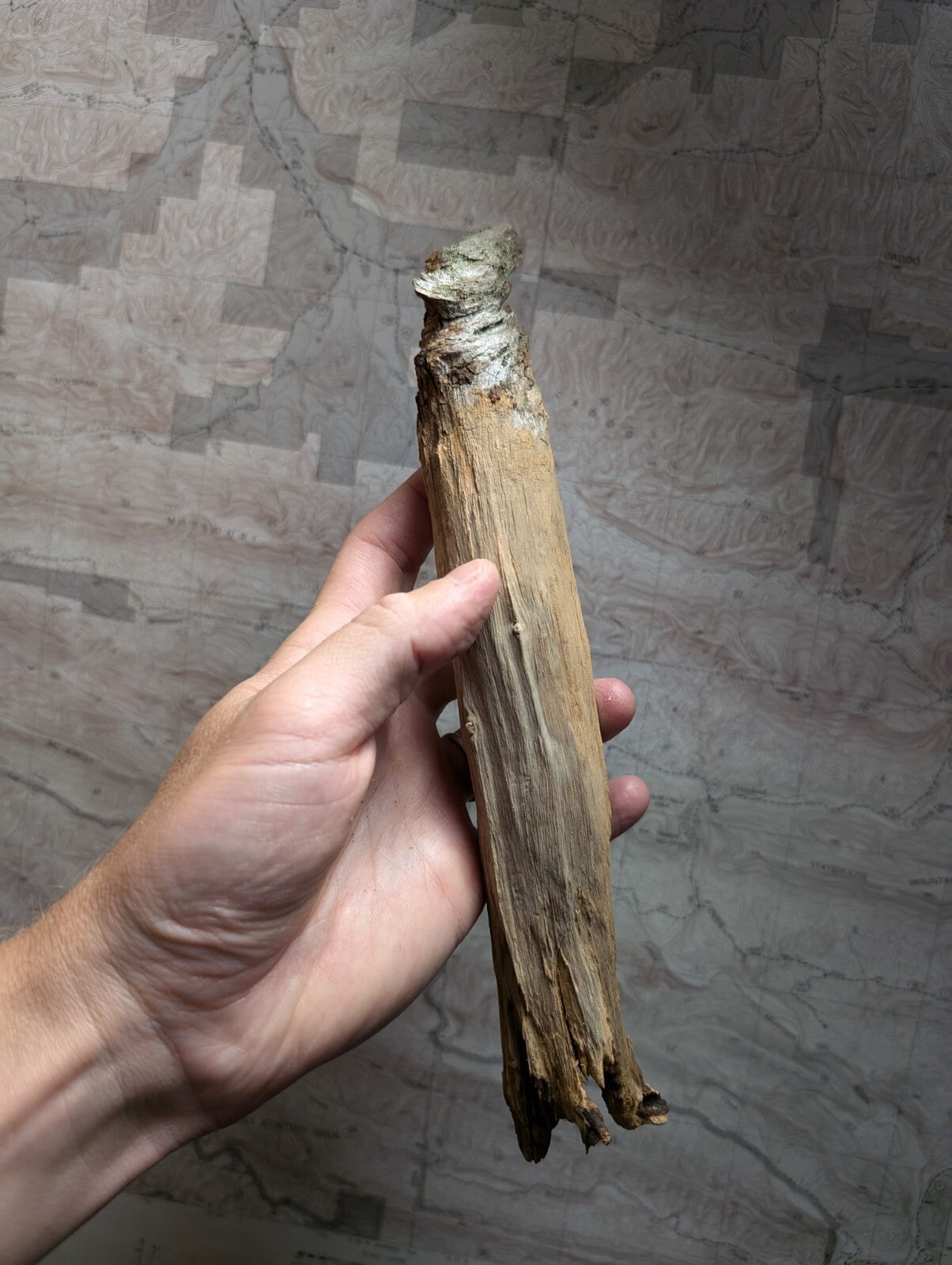A weathered, light brown wooden stick with a rough texture and natural cracks.