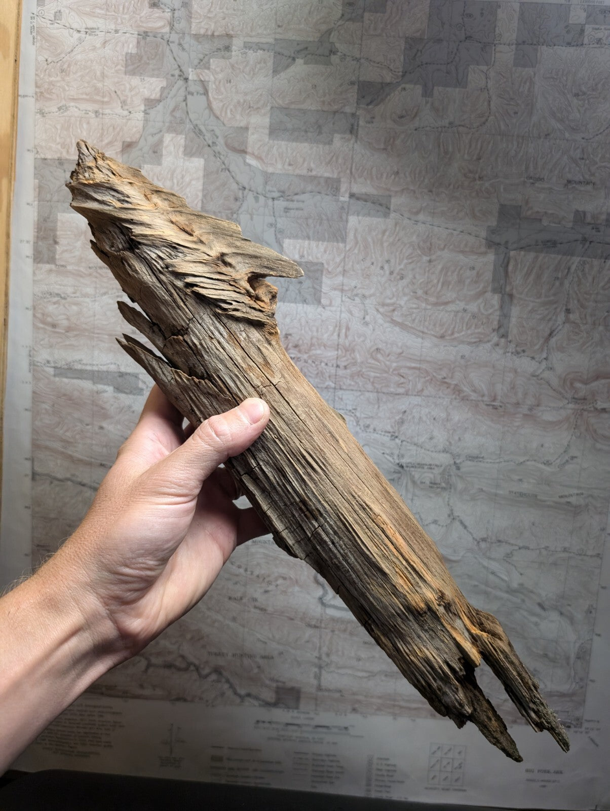 A weathered, light brown piece of driftwood with a rough, textured surface and natural splits.