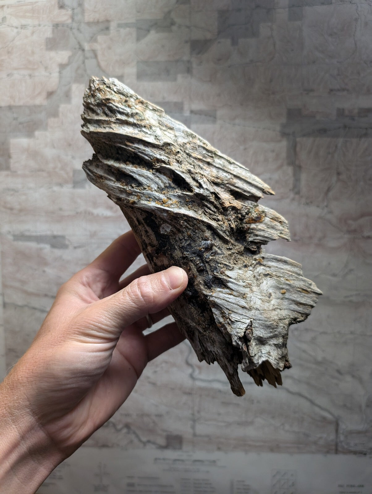 A weathered, grayish-brown piece of driftwood with a twisted, layered texture and natural cracks.