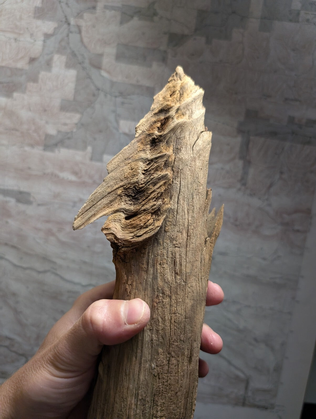 A hand holds a rough, irregularly shaped piece of light brown wood with visible grain and natural bark texture.