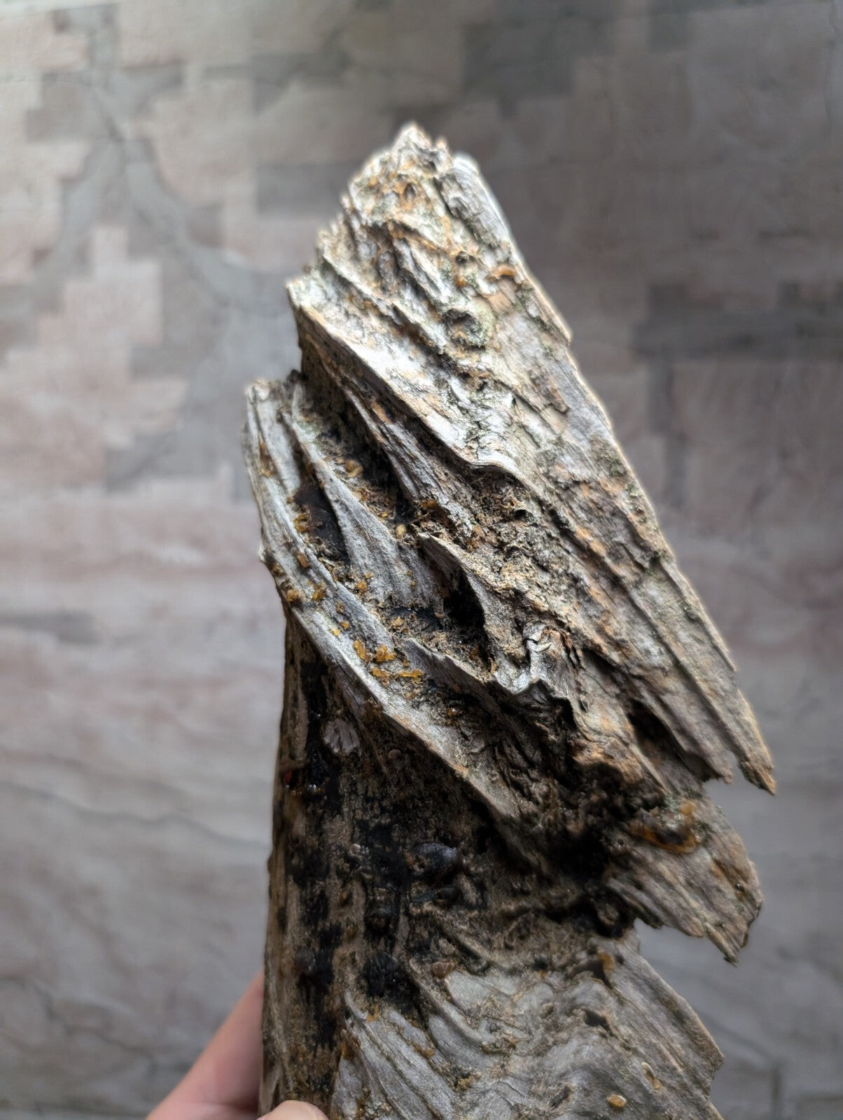 A weathered, grayish-brown piece of driftwood with a rugged, layered texture and natural cracks.