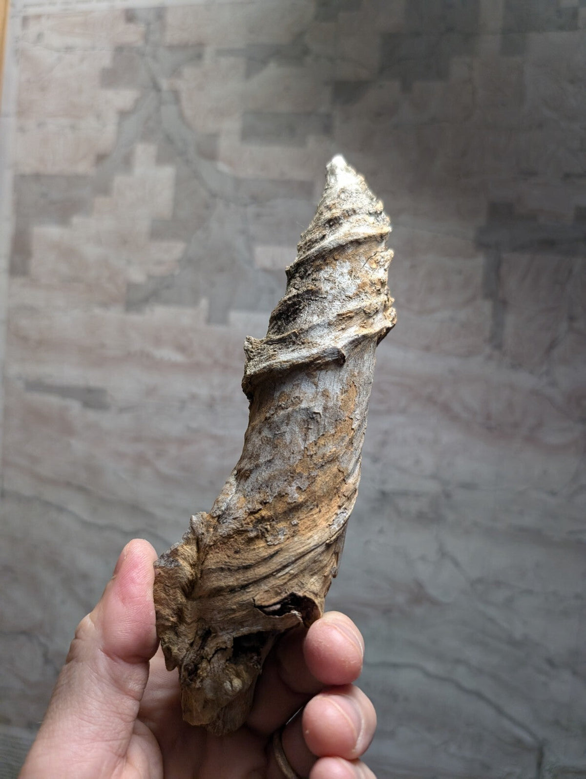 A weathered, spiraling driftwood piece with a rough, textured surface and natural brown tones.