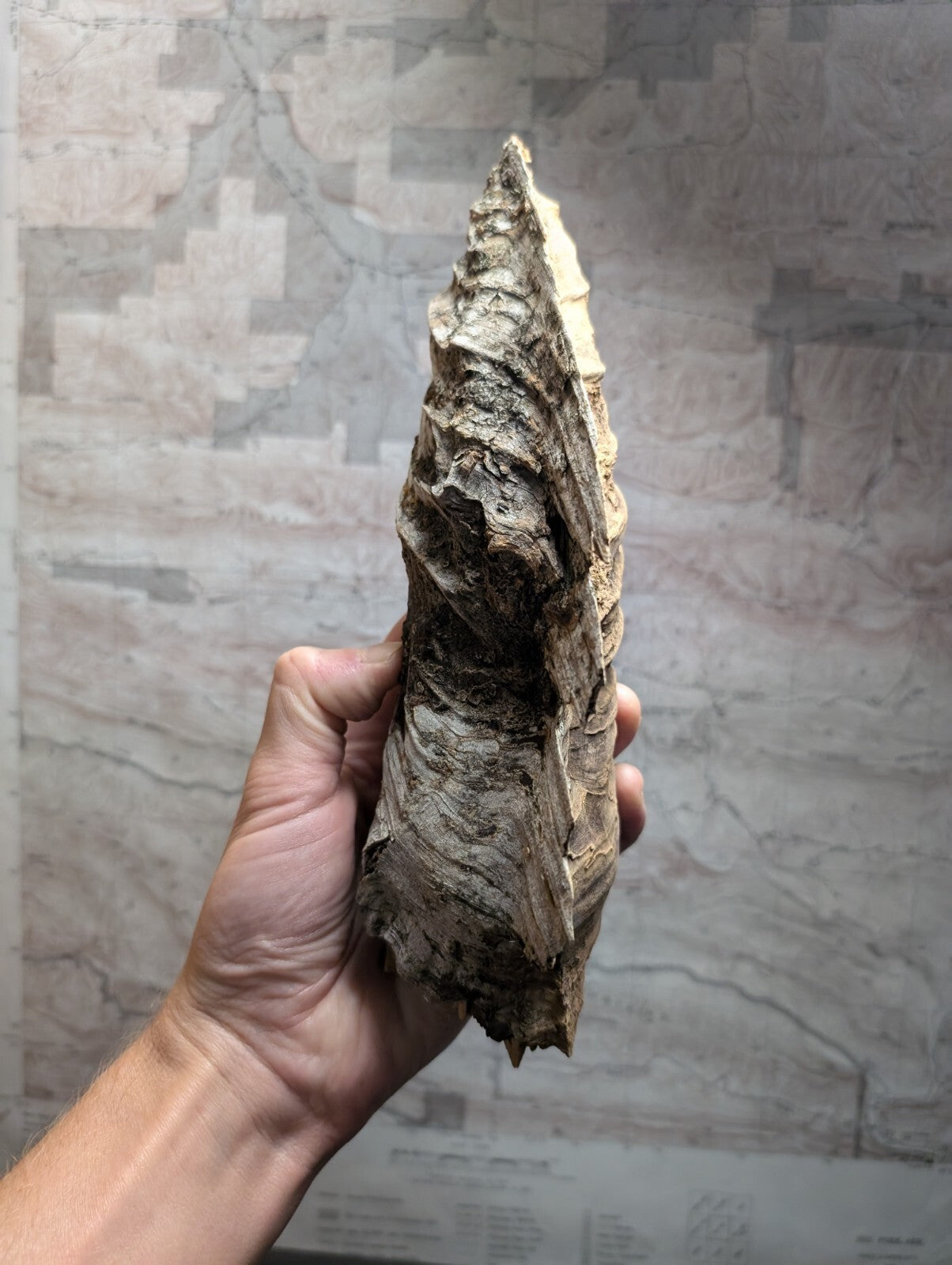 A weathered, irregularly shaped stone tool with a rough, textured surface and natural earthy tones of brown and beige.