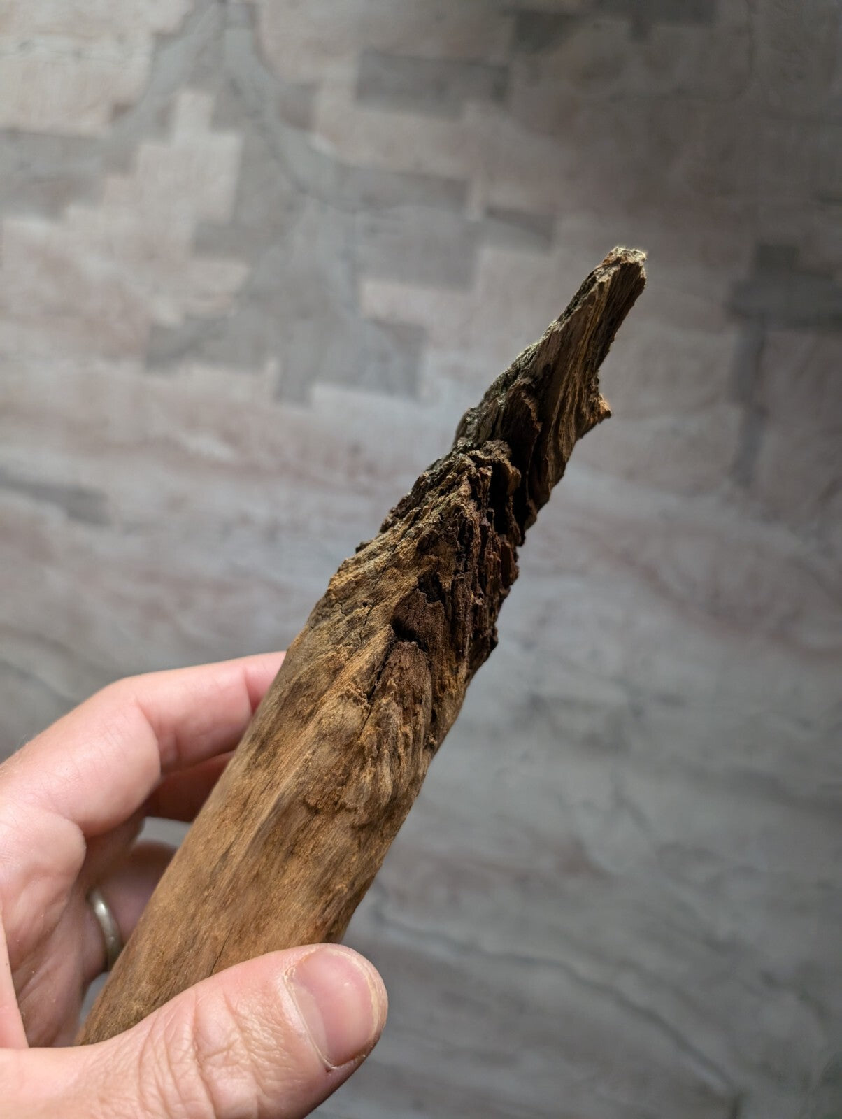 A weathered, dark brown driftwood piece with a rough, textured surface and pointed tip.