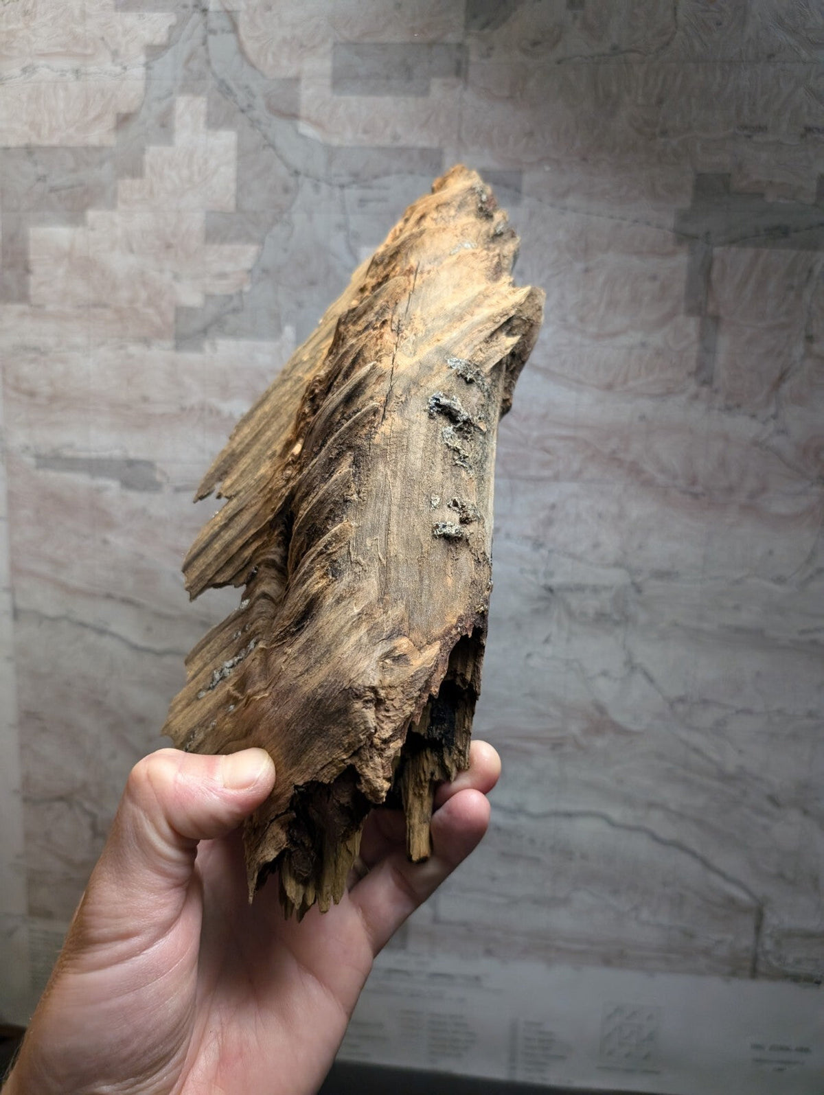 A weathered, light brown piece of driftwood with a rough, textured surface and visible wood grain.