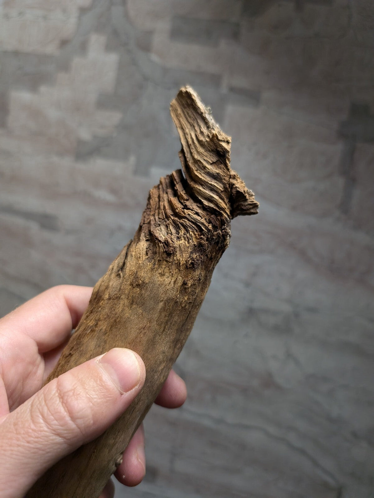 A weathered, brown driftwood piece with a gnarled, twisted top and rough, textured surface.