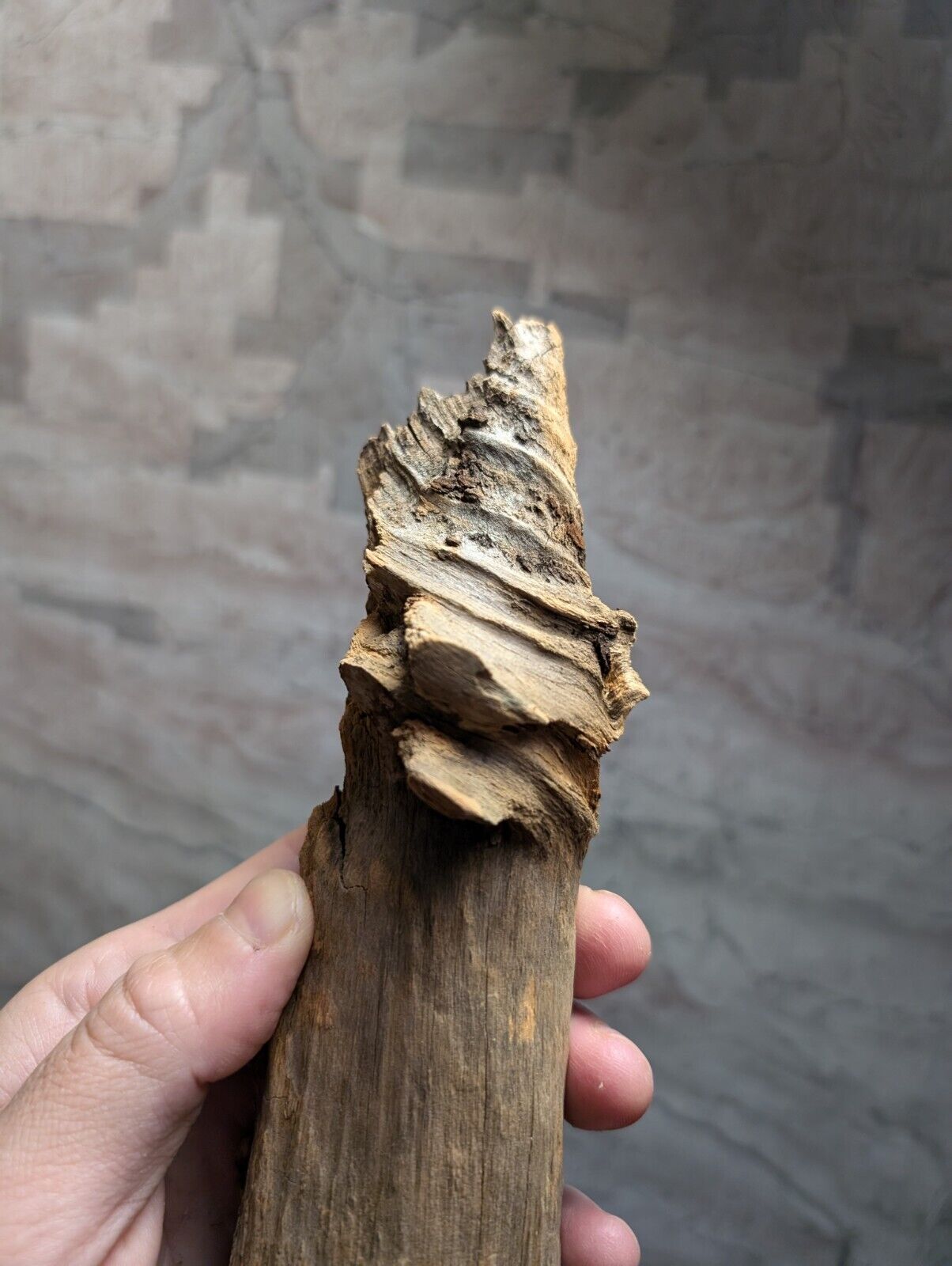 Natural Pine Knot Wooden Forest Decor Arkansas USA - Home Crafts Terrariums - Crafts:Multi-Purpose Craft