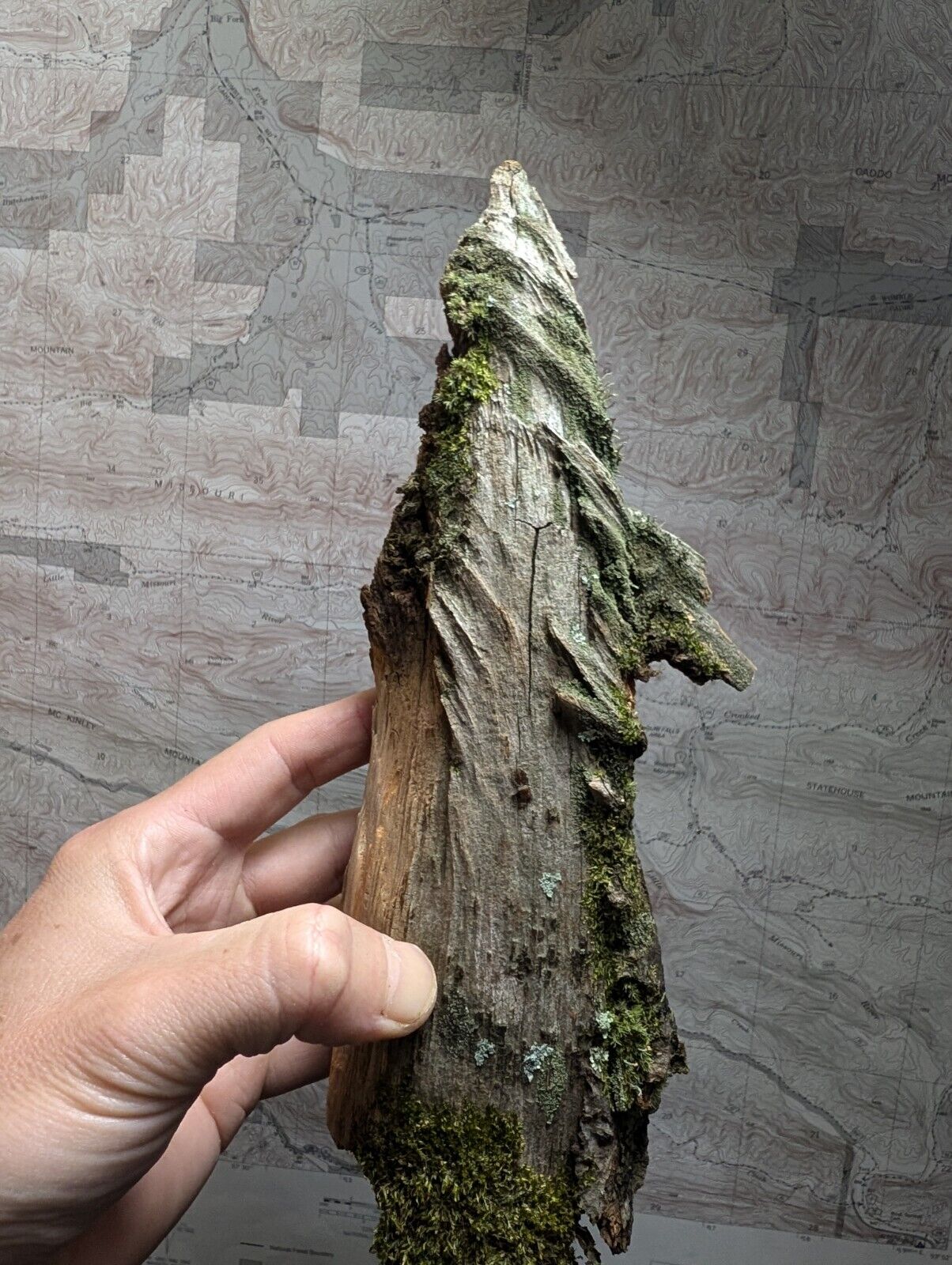 Natural Pine Knot Wooden Forest Decor Arkansas USA - Home Crafts Terrariums - Crafts:Multi-Purpose Craft
