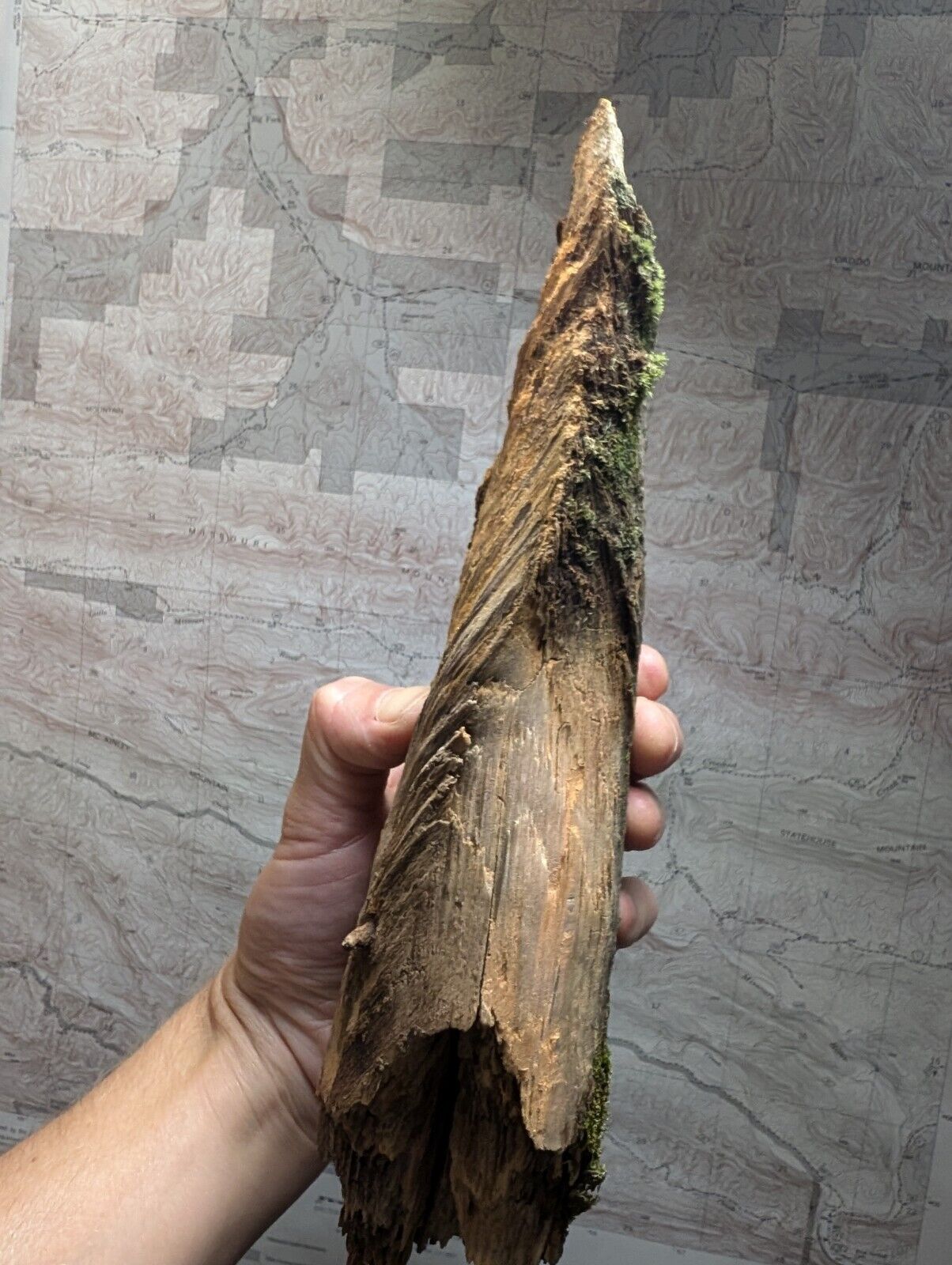 Natural Pine Knot Wooden Forest Decor Arkansas USA - Home Crafts Terrariums - Crafts:Multi-Purpose Craft
