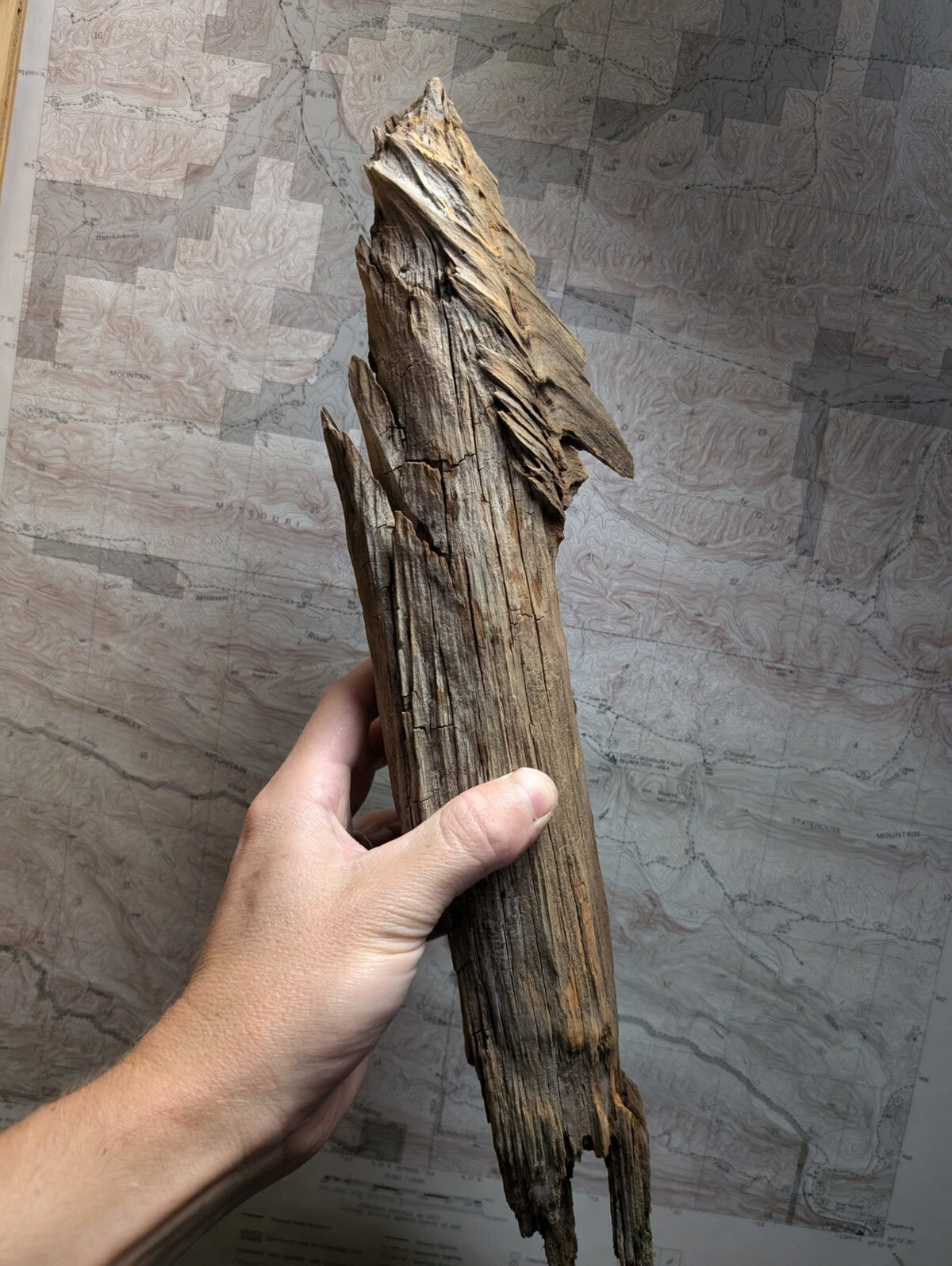 Weathered, gnarled driftwood with a rough texture and natural brown tones.