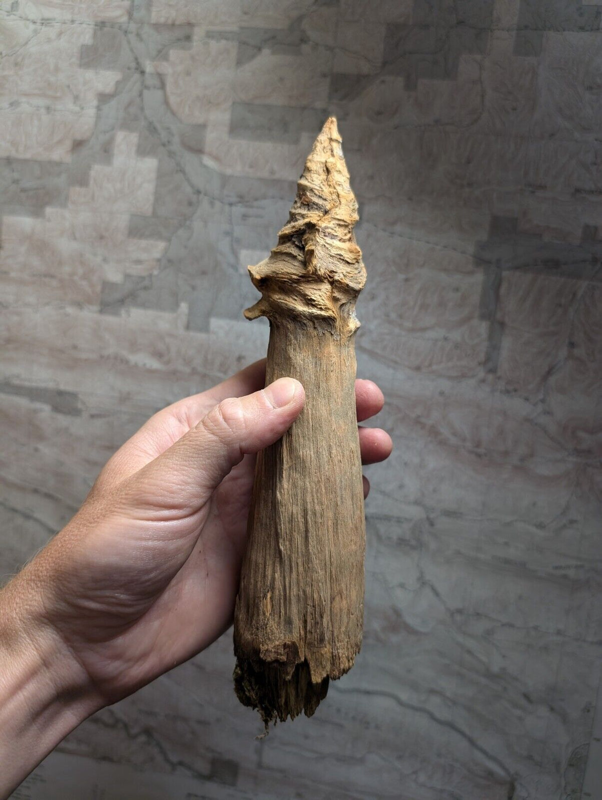 Natural Pine Knot Wooden Forest Decor Arkansas USA - Home Crafts Terrariums - Crafts:Multi-Purpose Craft
