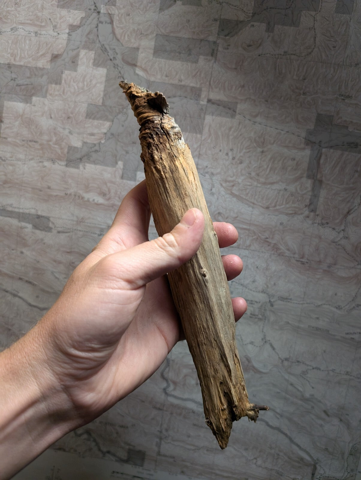 A weathered, light brown driftwood piece with a rough texture and natural knots.