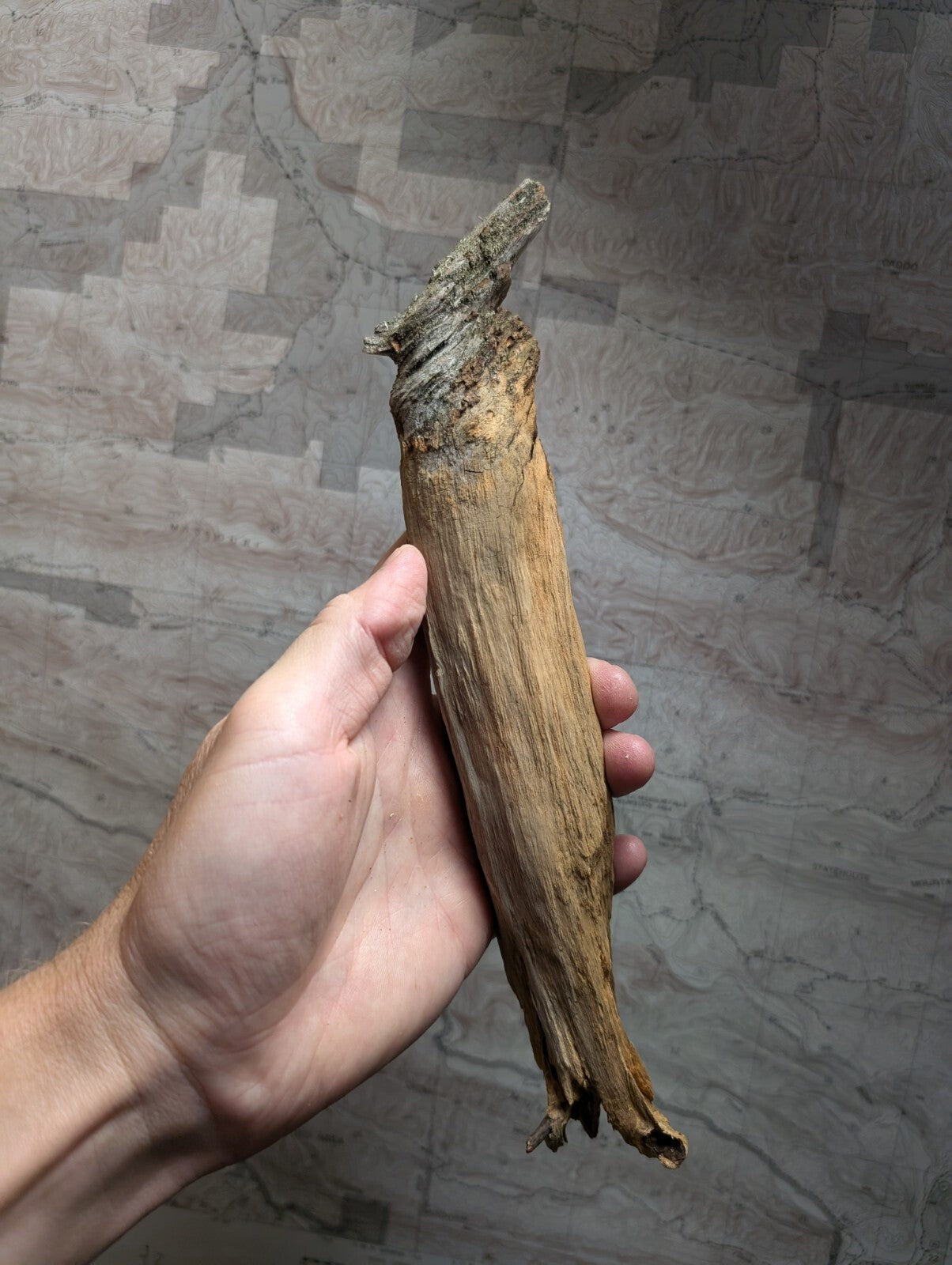 A weathered, light brown driftwood piece with a rough texture and natural twists.