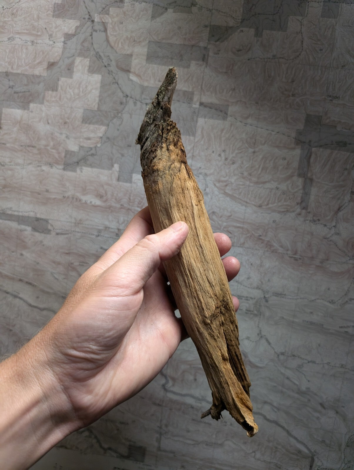 A weathered, light brown wooden stick with a rough texture and natural cracks.
