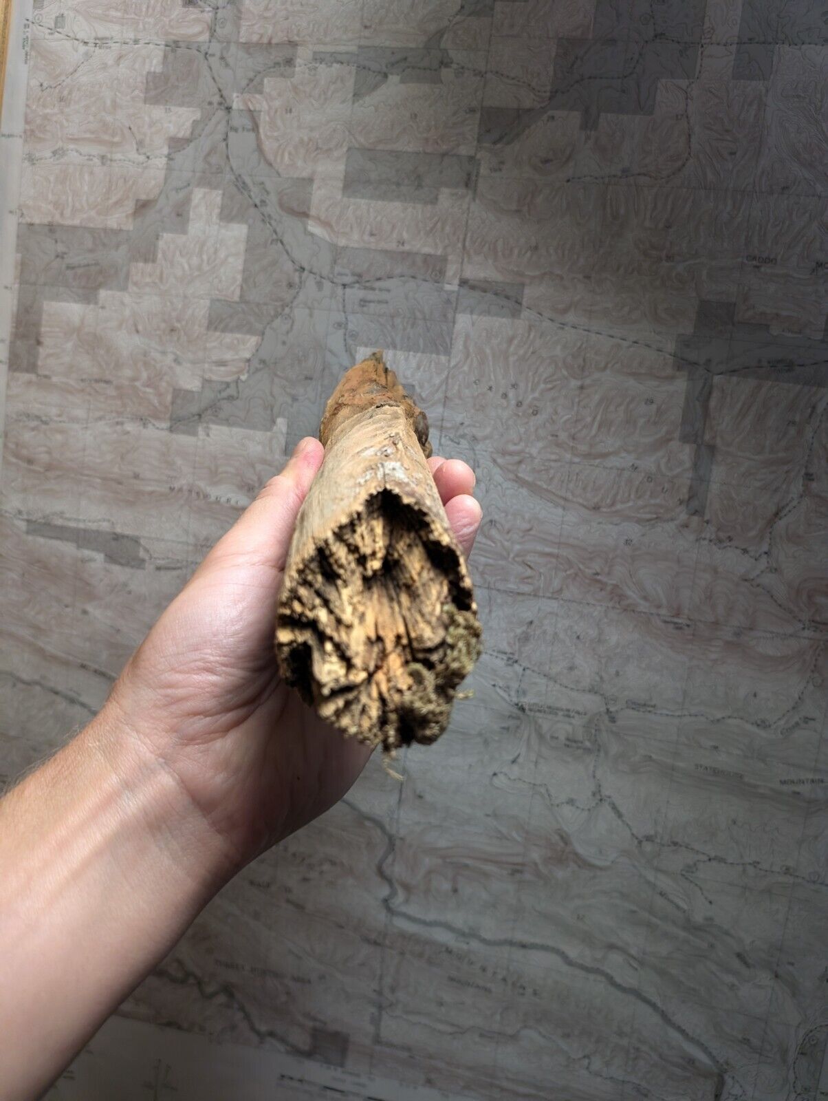 Natural Pine Knot Wooden Forest Decor Arkansas USA - Home Crafts Terrariums - Crafts:Multi-Purpose Craft