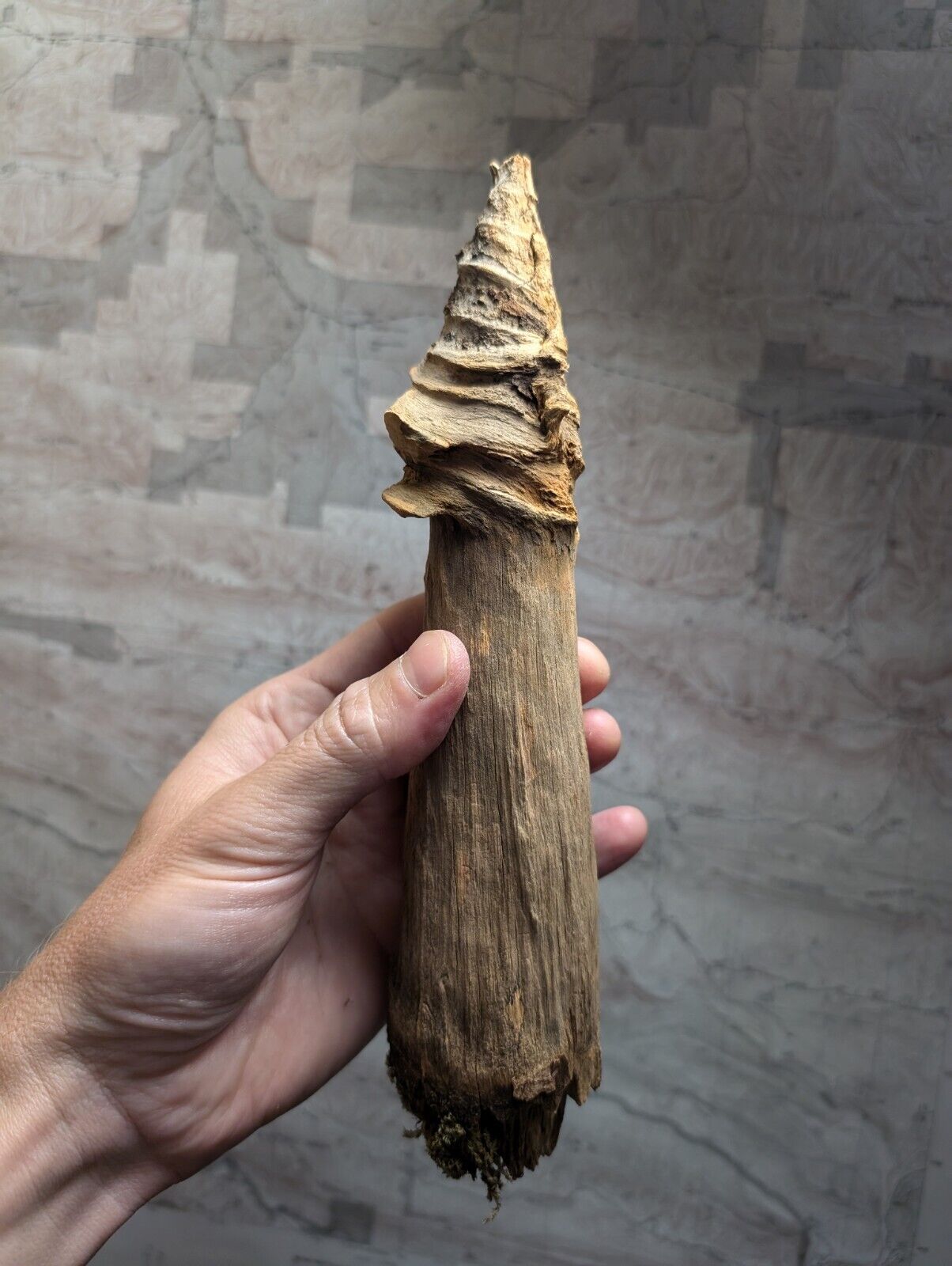 Natural Pine Knot Wooden Forest Decor Arkansas USA - Home Crafts Terrariums - Crafts:Multi-Purpose Craft