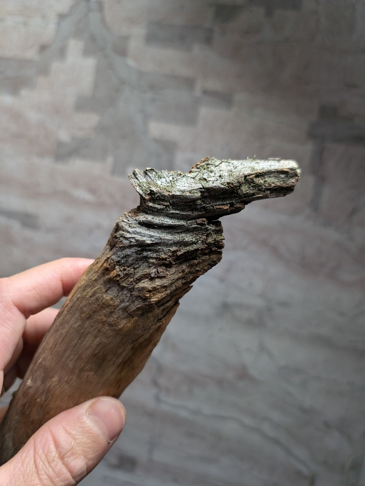 A weathered, dark brown driftwood piece with a gnarled, textured surface and natural bark patterns.