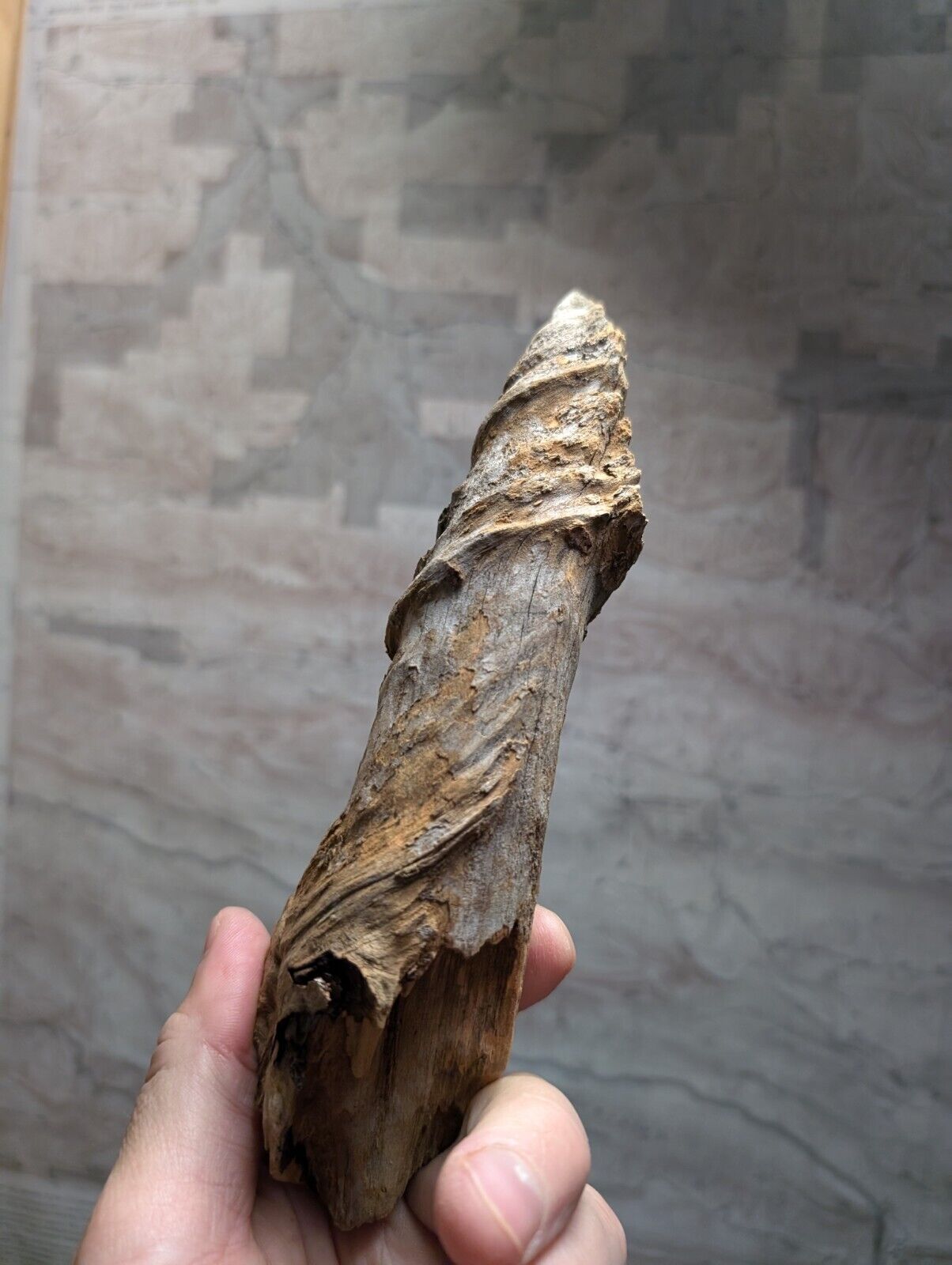 Twisted, weathered piece of wood.