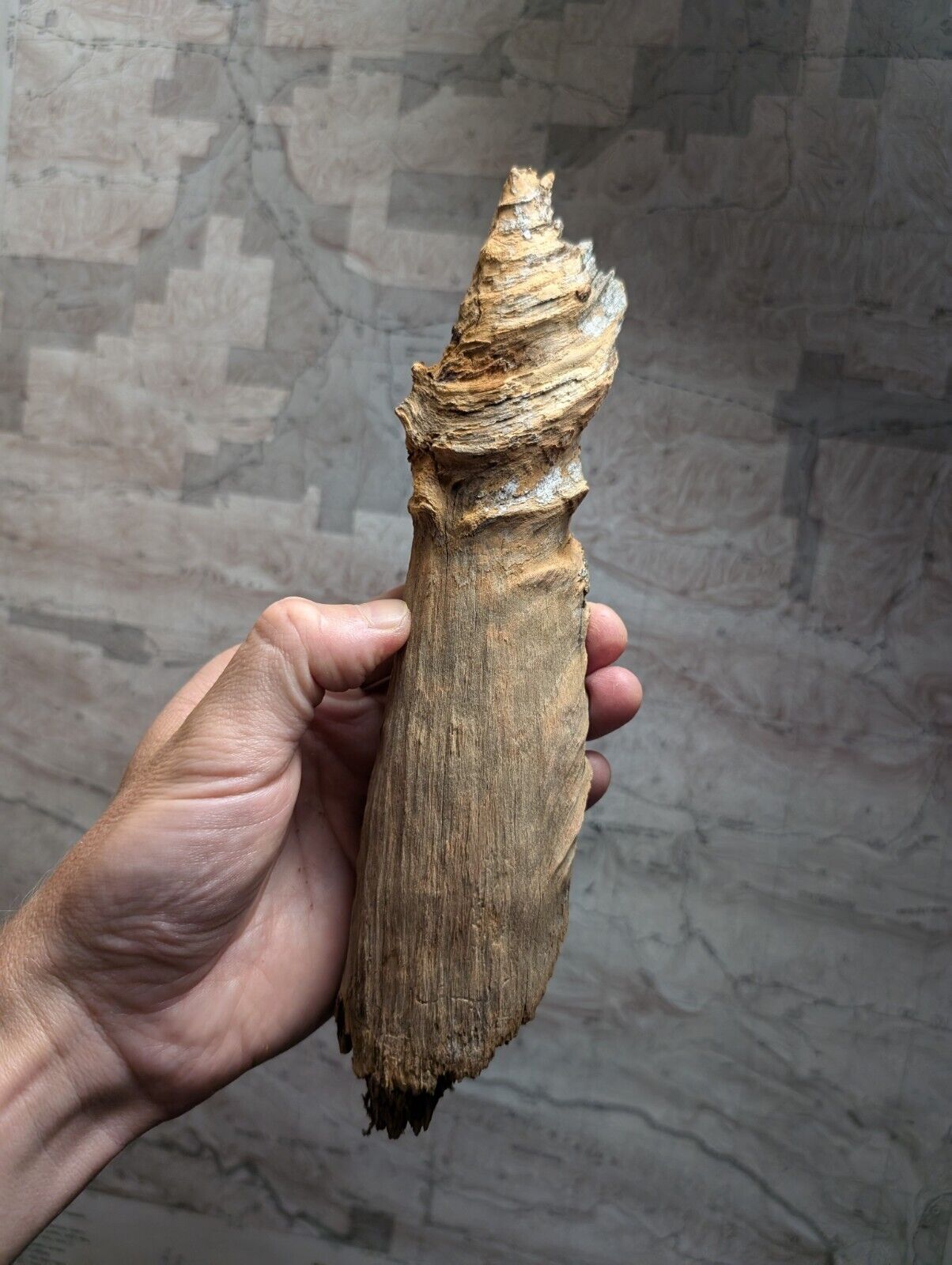 Natural Pine Knot Wooden Forest Decor Arkansas USA - Home Crafts Terrariums - Crafts:Multi-Purpose Craft