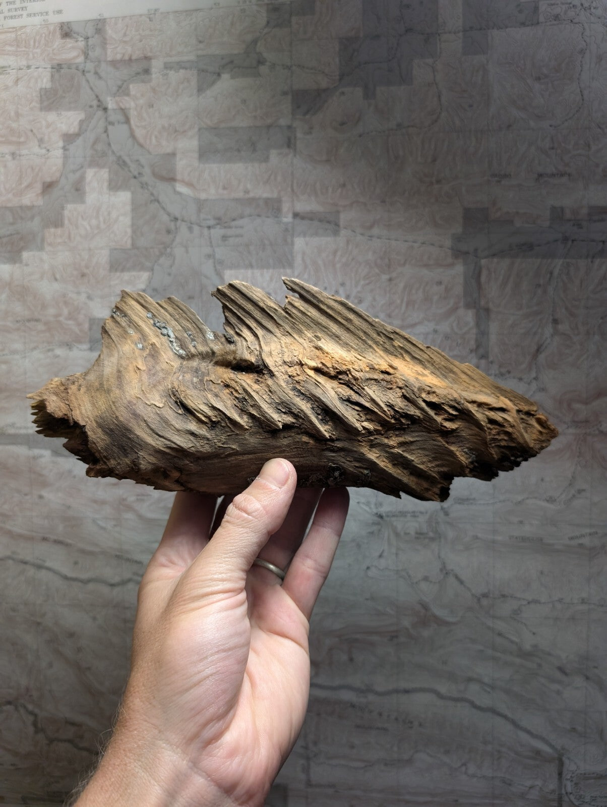 A rugged, brown driftwood piece with a textured, weathered surface and jagged edges.